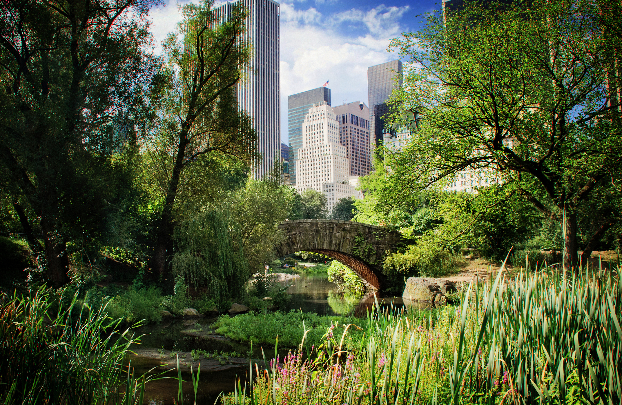 Lush Summer Greens and Central Park's Gapstow Bridge