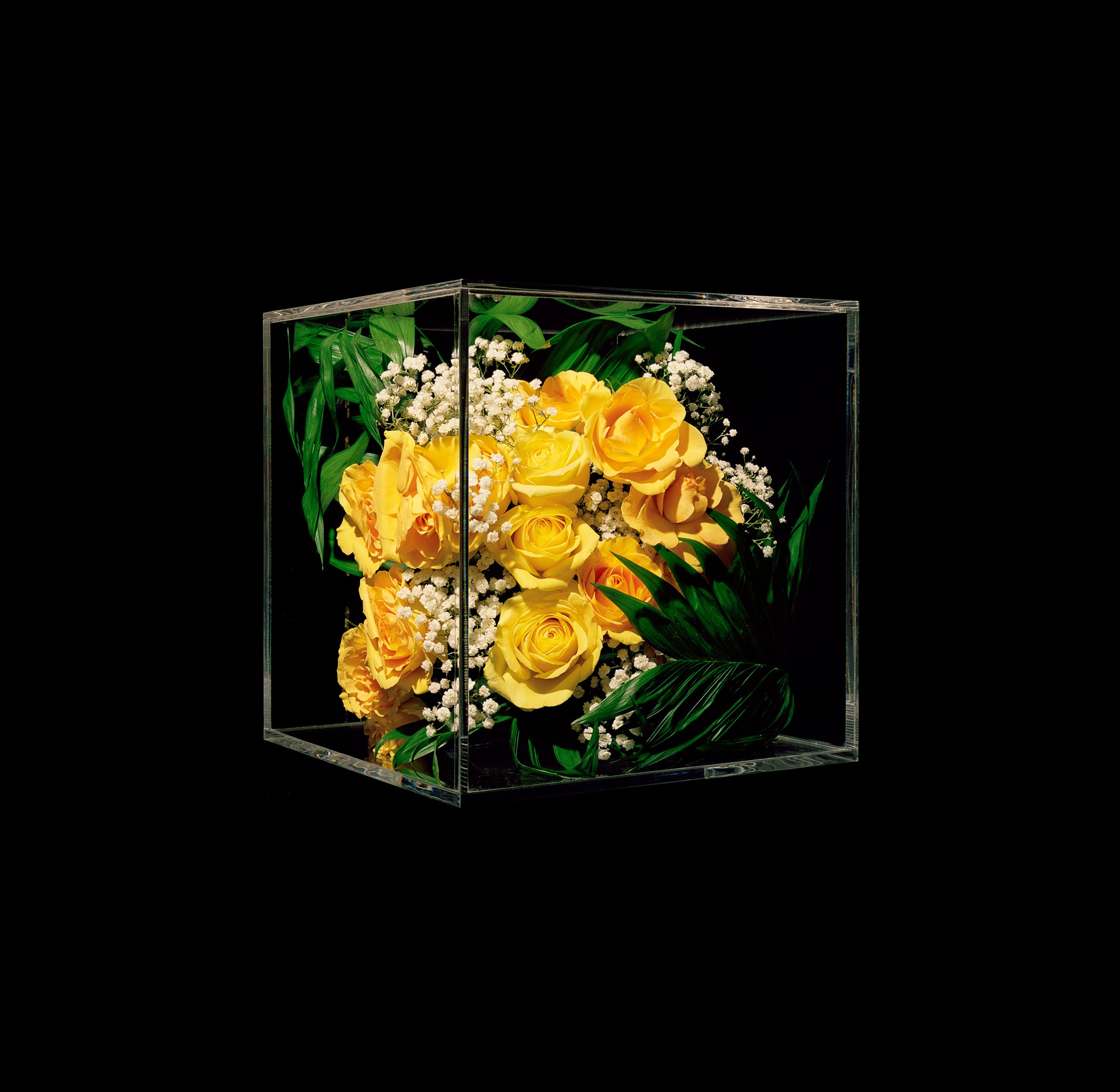 arrangement-yellow-roses-rachel-cox-funeral