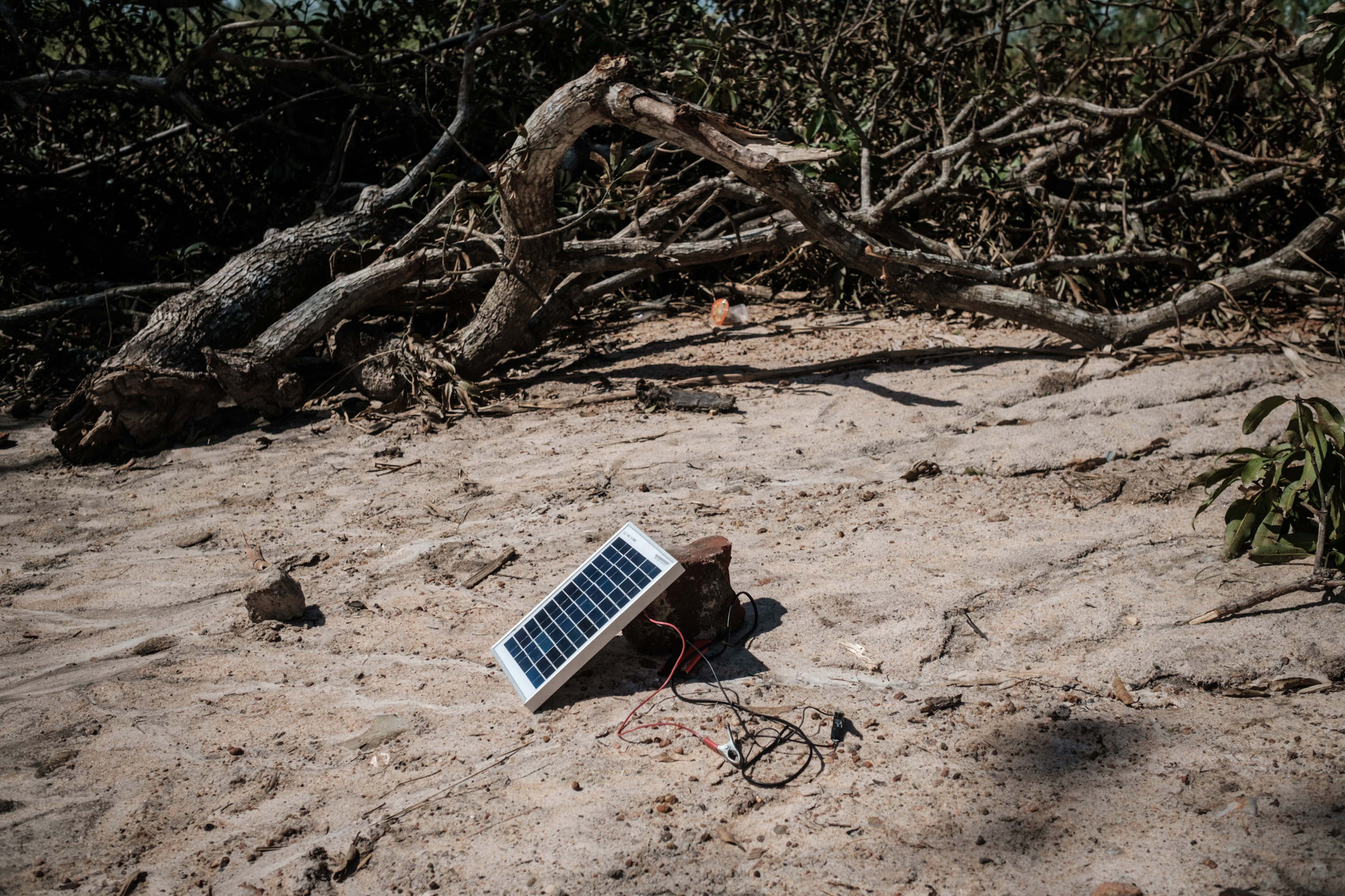 A solar charger is seen beside trees destroyed by cyclone Idai in Tica, Mozambique, on March 24, 2019. (Yasuyoshi Chiba—AFP/Getty Images)