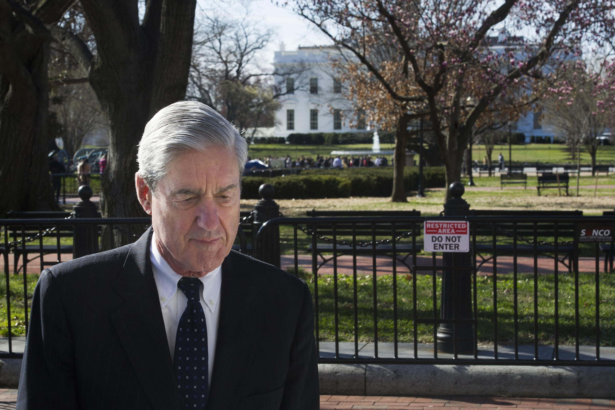 After a 22-month probe, Mueller did not find that any Trump campaign officials or associates coordinated with Russia (Cliff Owen—AP)