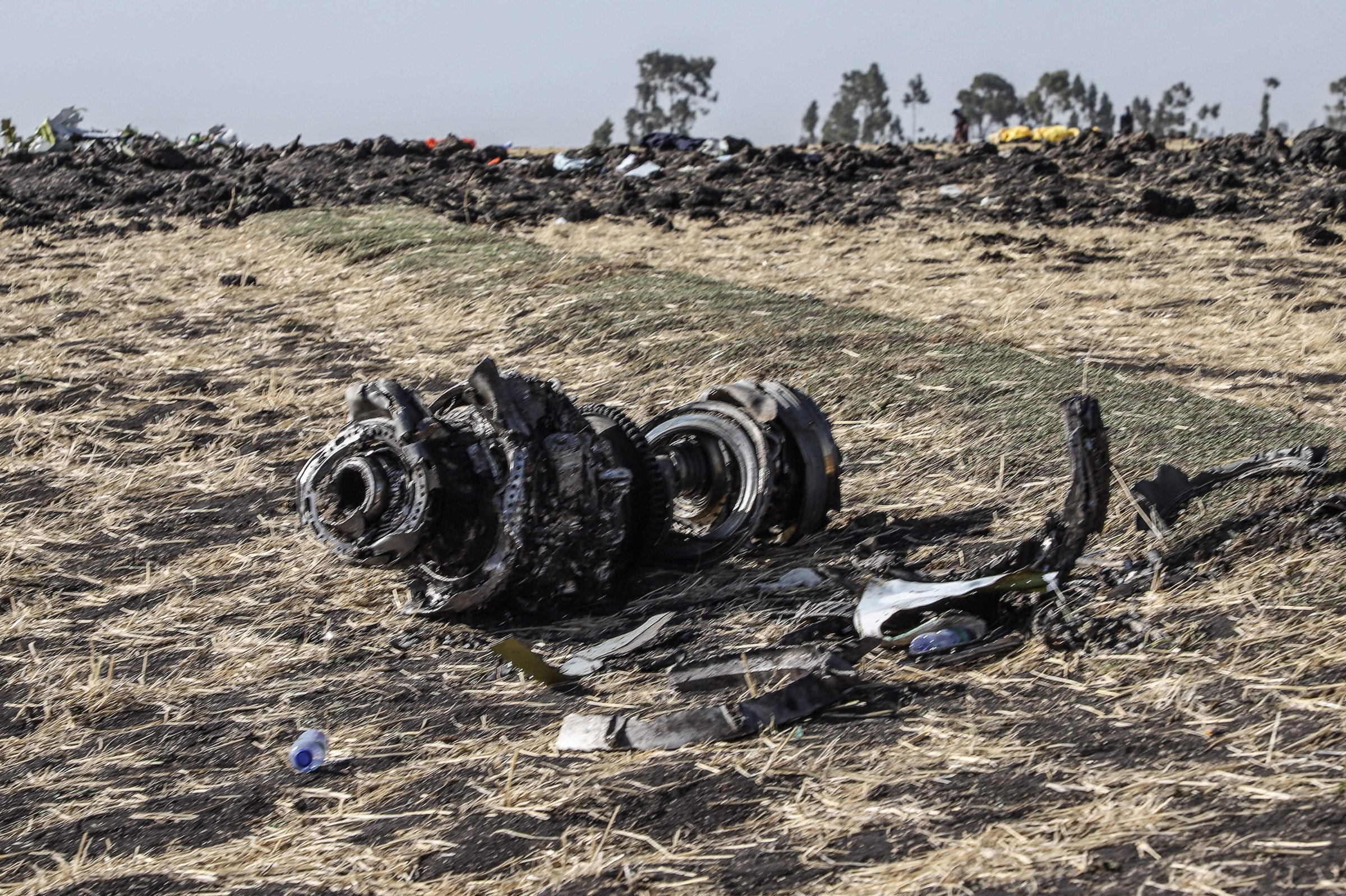 Ethiopia Airlines Flight 302 Wreckage