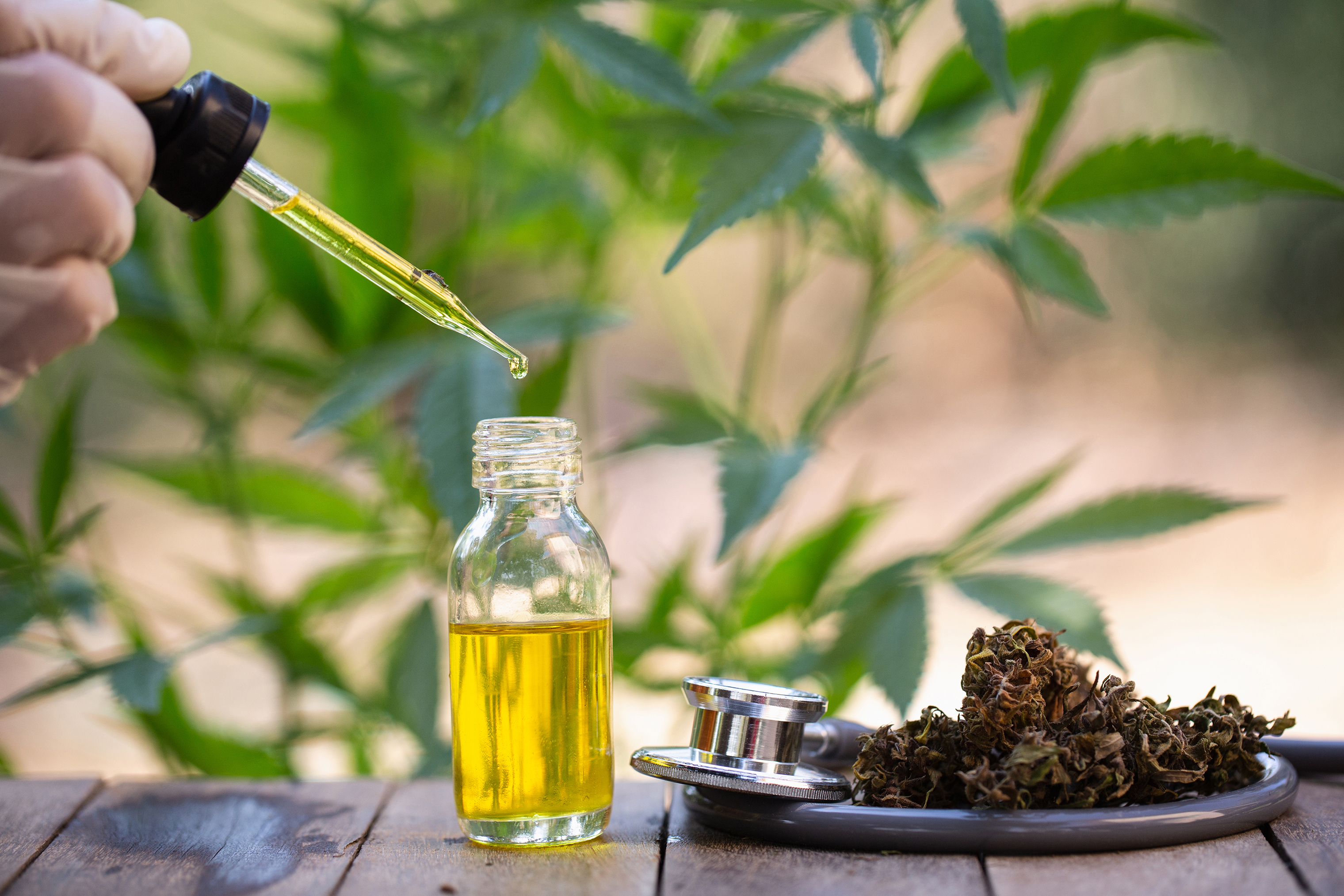 How Much Should You Expect To Pay For Cbd Oil - Cbd|Oil|Cannabidiol|Products|View|Abstract|Effects|Hemp|Cannabis|Product|Thc|Pain|People|Health|Body|Plant|Cannabinoids|Medications|Oils|Drug|Benefits|System|Study|Marijuana|Anxiety|Side|Research|Effect|Liver|Quality|Treatment|Studies|Epilepsy|Symptoms|Gummies|Compounds|Dose|Time|Inflammation|Bottle|Cbd Oil|View Abstract|Side Effects|Cbd Products|Endocannabinoid System|Multiple Sclerosis|Cbd Oils|Cbd Gummies|Cannabis Plant|Hemp Oil|Cbd Product|Hemp Plant|United States|Cytochrome P450|Many People|Chronic Pain|Nuleaf Naturals|Royal Cbd|Full-Spectrum Cbd Oil|Drug Administration|Cbd Oil Products|Medical Marijuana|Drug Test|Heavy Metals|Clinical Trial|Clinical Trials|Cbd Oil Side|Rating Highlights|Wide Variety|Animal Studies