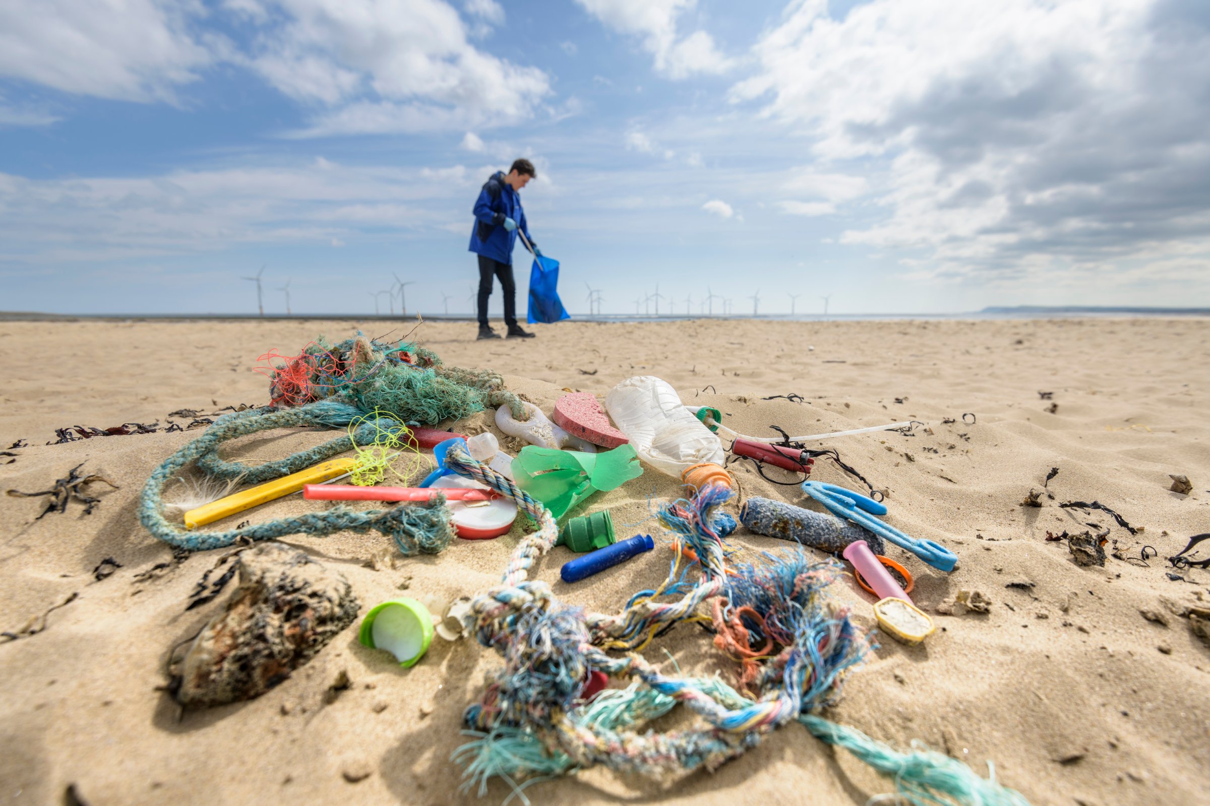 Man picking up plastic pollution collected on beach, North East England, UK