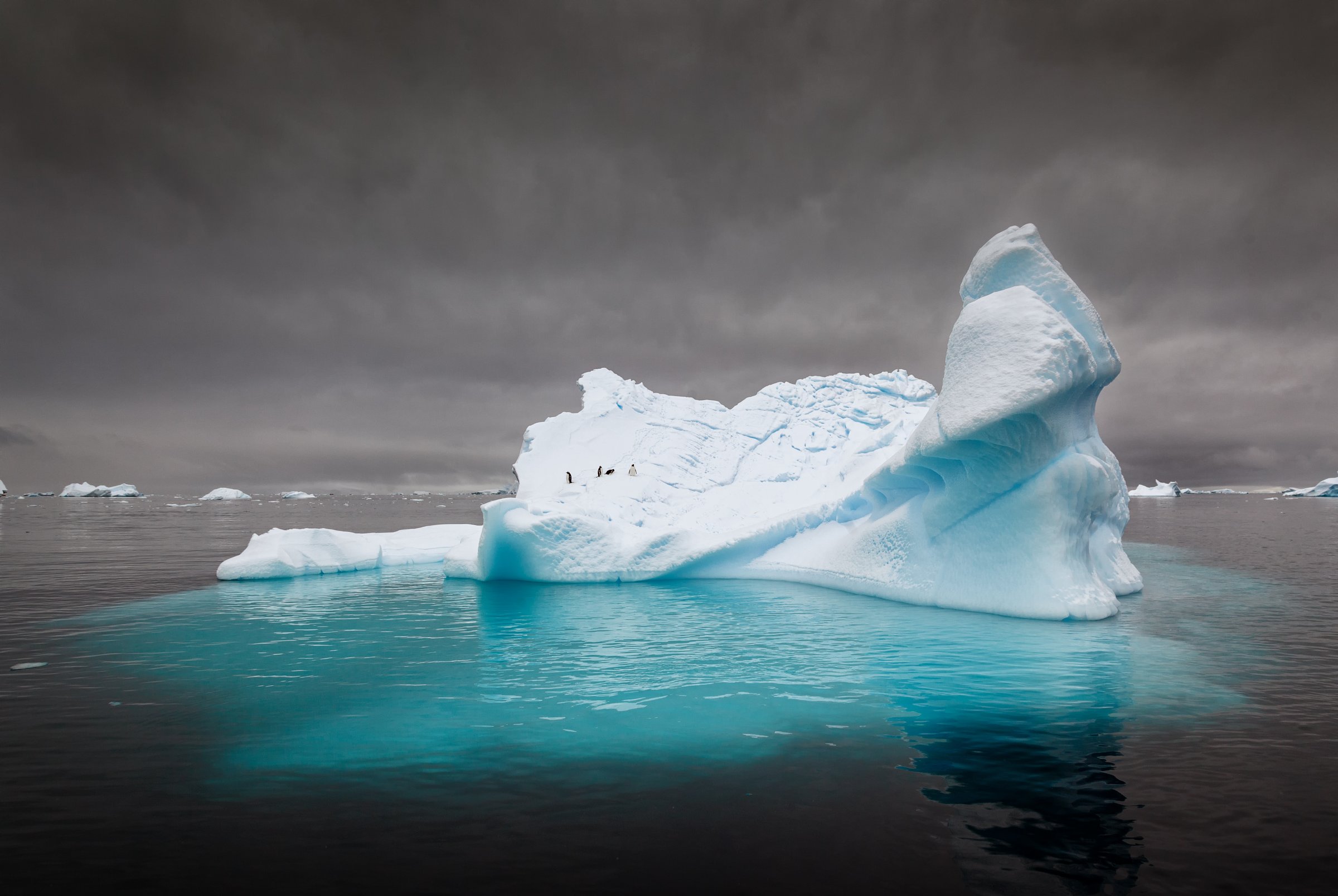 Grandma swept out to sea on iceberg becomes hero.