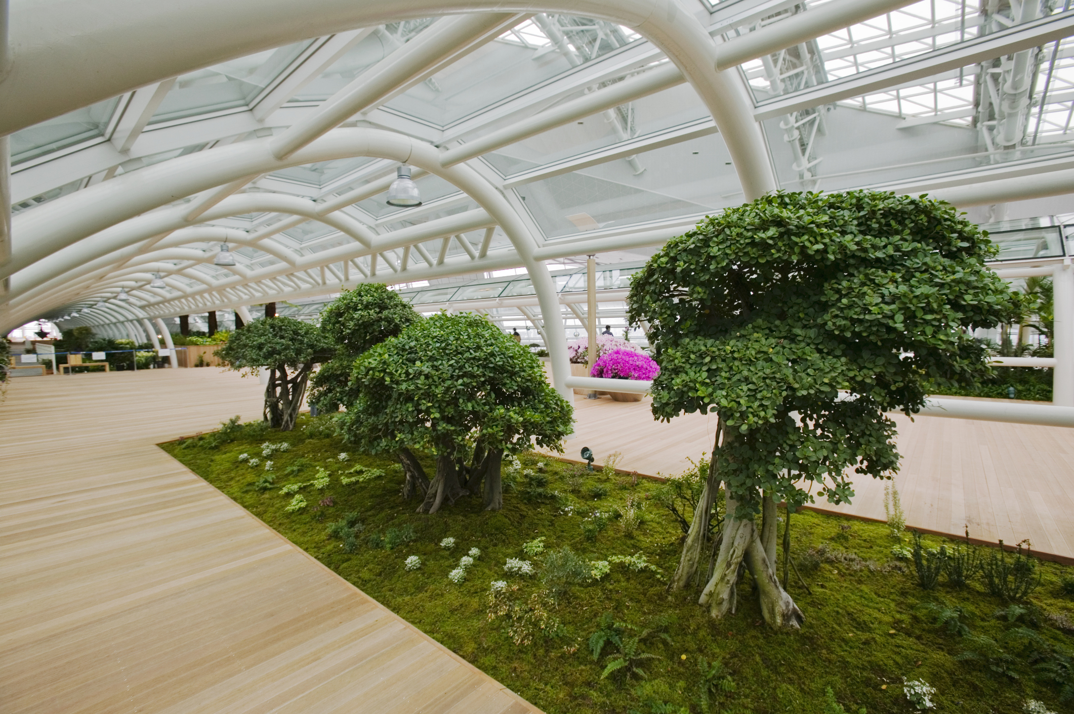 Indoor Garden at the Incheon International Airport. (Ashley Cooper—Getty Images)