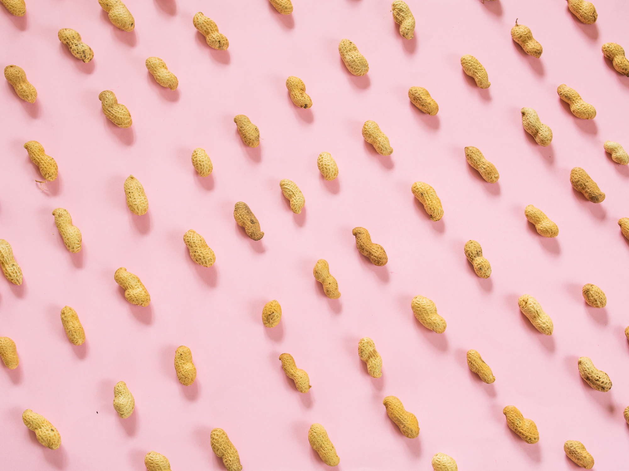 High Angle View Of Peanuts Over Pink Background