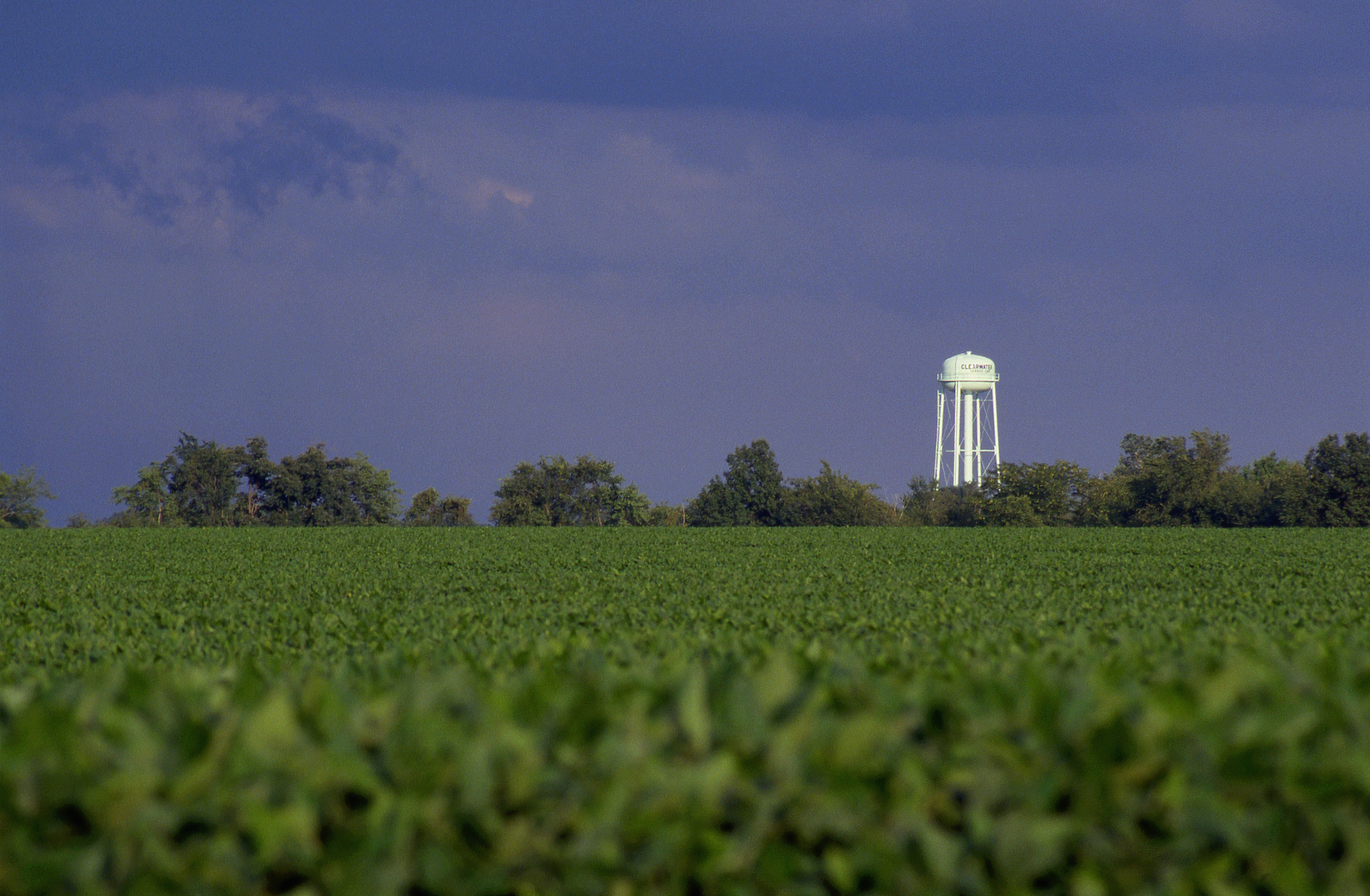 Soybean field and Water tower, Illinois