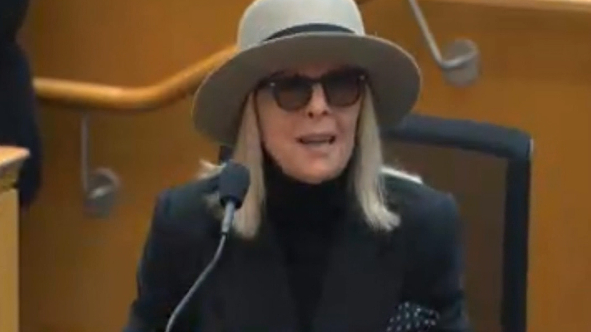 Diane Keaton also voiced her support for the Los Angeles County Museum of Art at Tuesday's hearing of the Los Angeles County Board of Supervisors. (Los Angeles County Board of Supervisors)