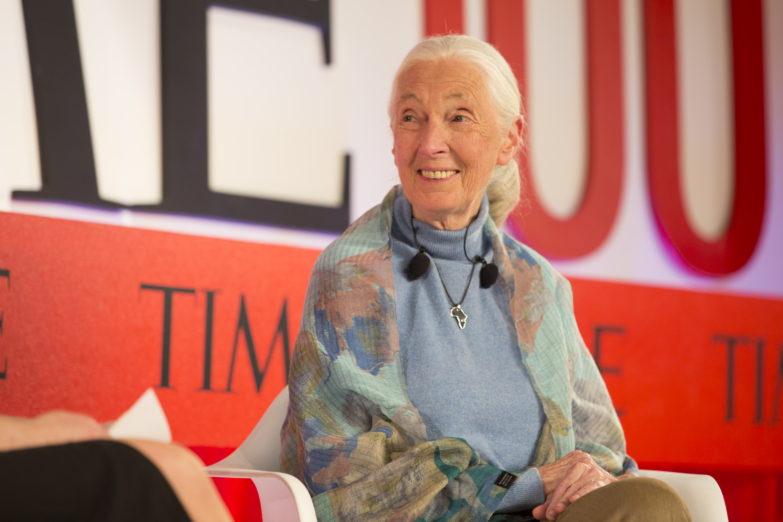 Primatologist Jane Goodall on a panel about Protecting Our Planet at the TIME100 Summit in New York, on April 23, 2019.