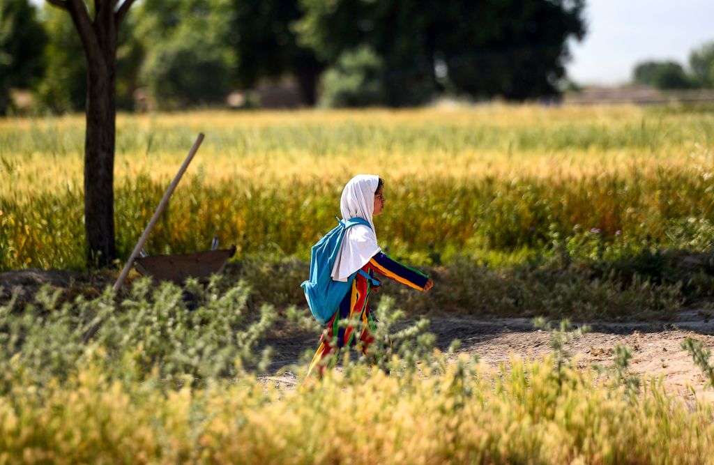 An Afghan girl walks towards her school along a field on the outskirts of Mazar-i-Sharif on May 12, 2019. (Farshad Usyan—AFP/Getty Images)