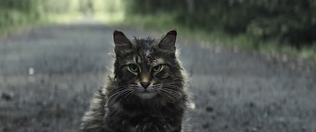Pet Sematary' Star Leo the Cat Dies | Time