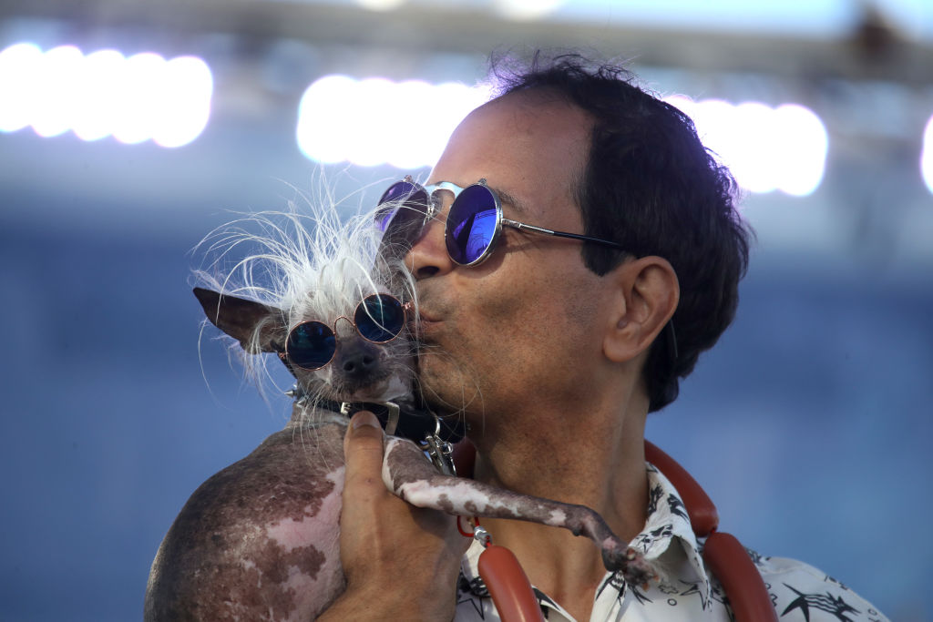 Dane Andrew holds his dog Rascal during the World's Ugliest Dog contest at the Marin-Sonoma County Fair on June 21, 2019 in Petaluma, California. A dog named Scamp the Tramp from Santa Rosa, California won the annual World's Ugliest Dog contest. (Justin Sullivan—Getty Images)