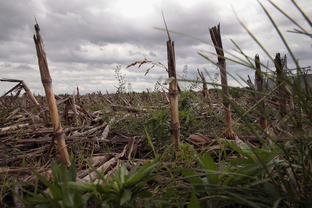Rain clouds pass over an unplanted farm field on May 29, 2019 near Emden, Illinois. Near-record rainfall in parts of Illinois has caused farmers to delay their Spring corn planting. According to the USDA as of May 26 only 35 percent of the state's corn crop had been planted. By the same date in 2018 farmers in the state had 99 percent of the crop in the ground. As the deadline for planting nears, many farmers may be forced to leave their fields fallow. Illinois ranks number two behind Iowa in U.S. corn production. (Scott Olson&mdash;Getty Images)