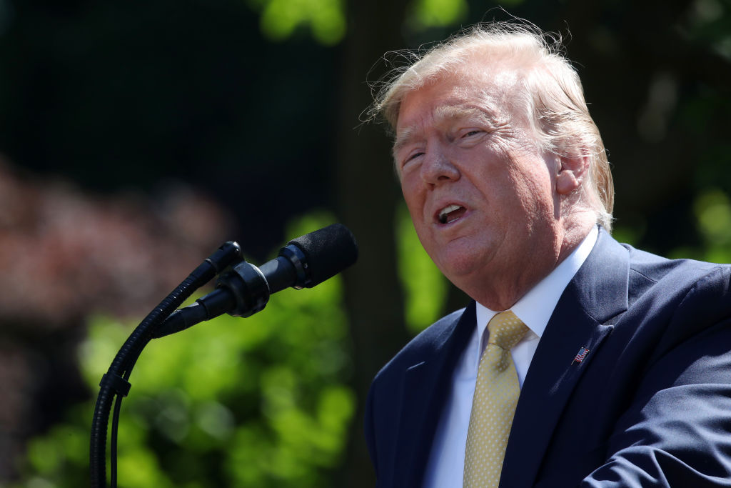U.S. President Donald Trump speaks about expanding healthcare coverage for small businesses in the Rose Garden of the White House on June 14, 2019 in Washington, D.C. (Mark Wilson&mdash;Getty Images)
