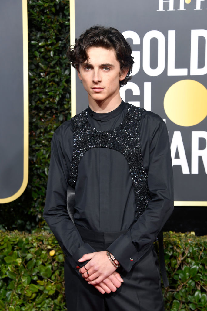 Timothee Chalamet Attends 76th Annual Golden Globe Awards