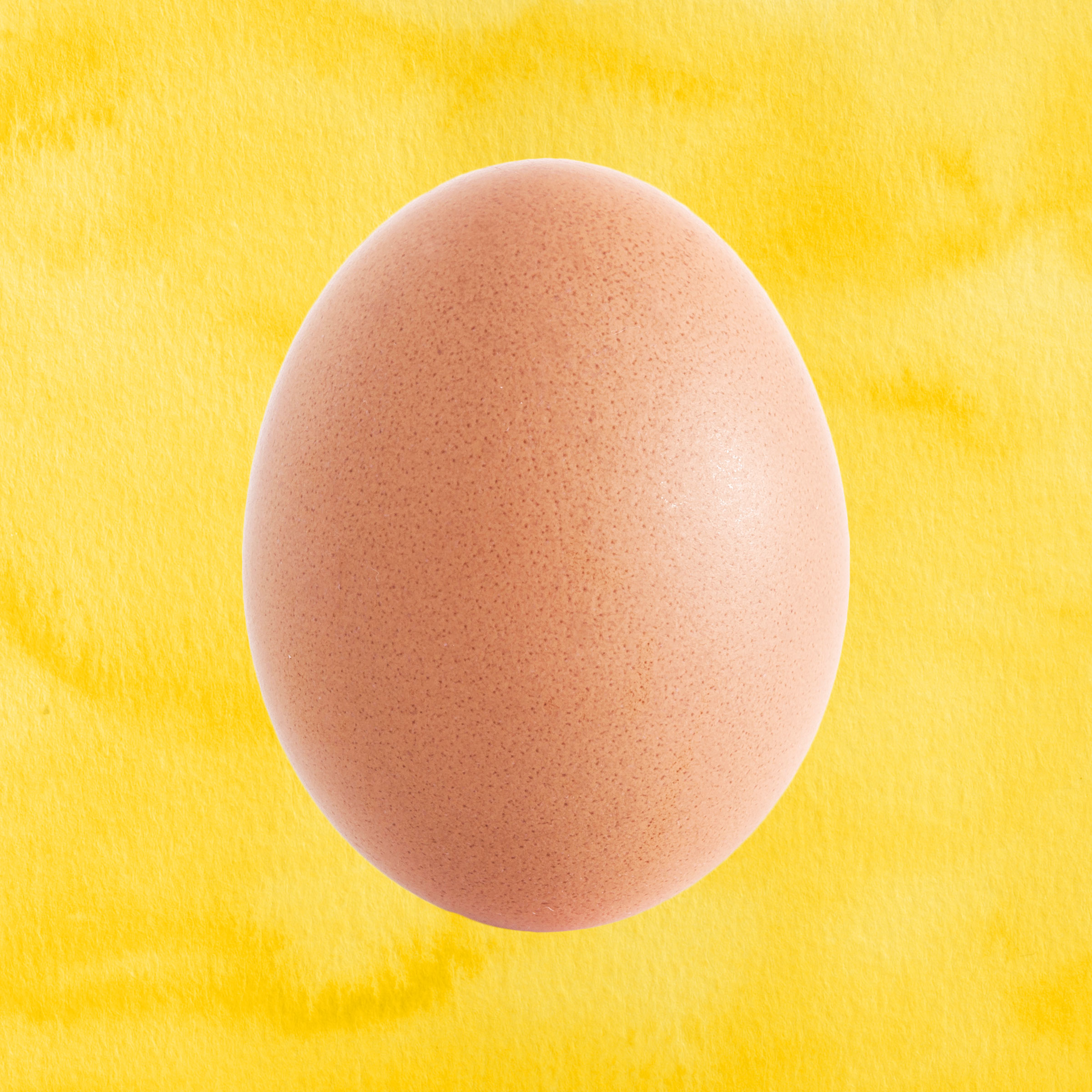 World Record Egg