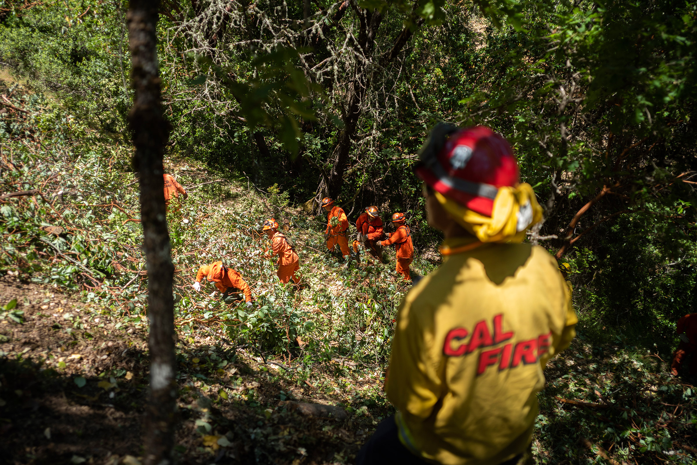 Fire crews cut brush in the hills around Ukiah, Calif., on Wednesday, June 19, 2019. (Brian L. Frank for TIME)