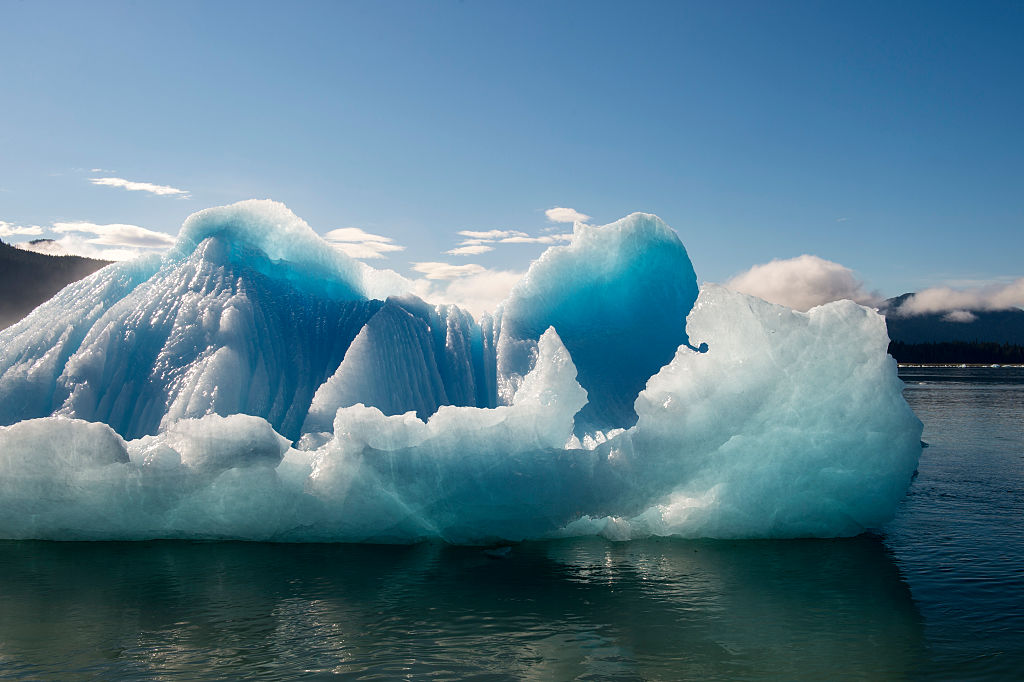 Iceberg from LeConte Glacier (named in honor of the