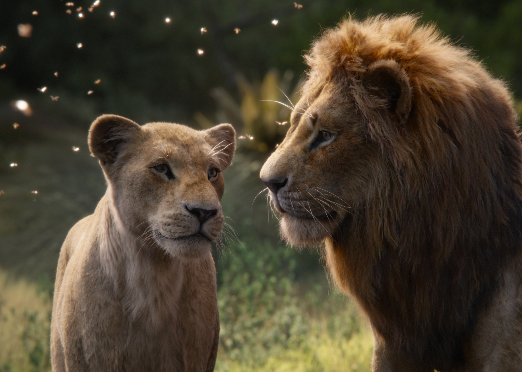 Featuring the voices of Beyoncé Knowles-Carter as Nala and Donald Glover as Simba, Disney’s “The Lion King” is directed by Jon Favreau. (null—©2019 Disney Enterprises, Inc. All Rights Reserved.)