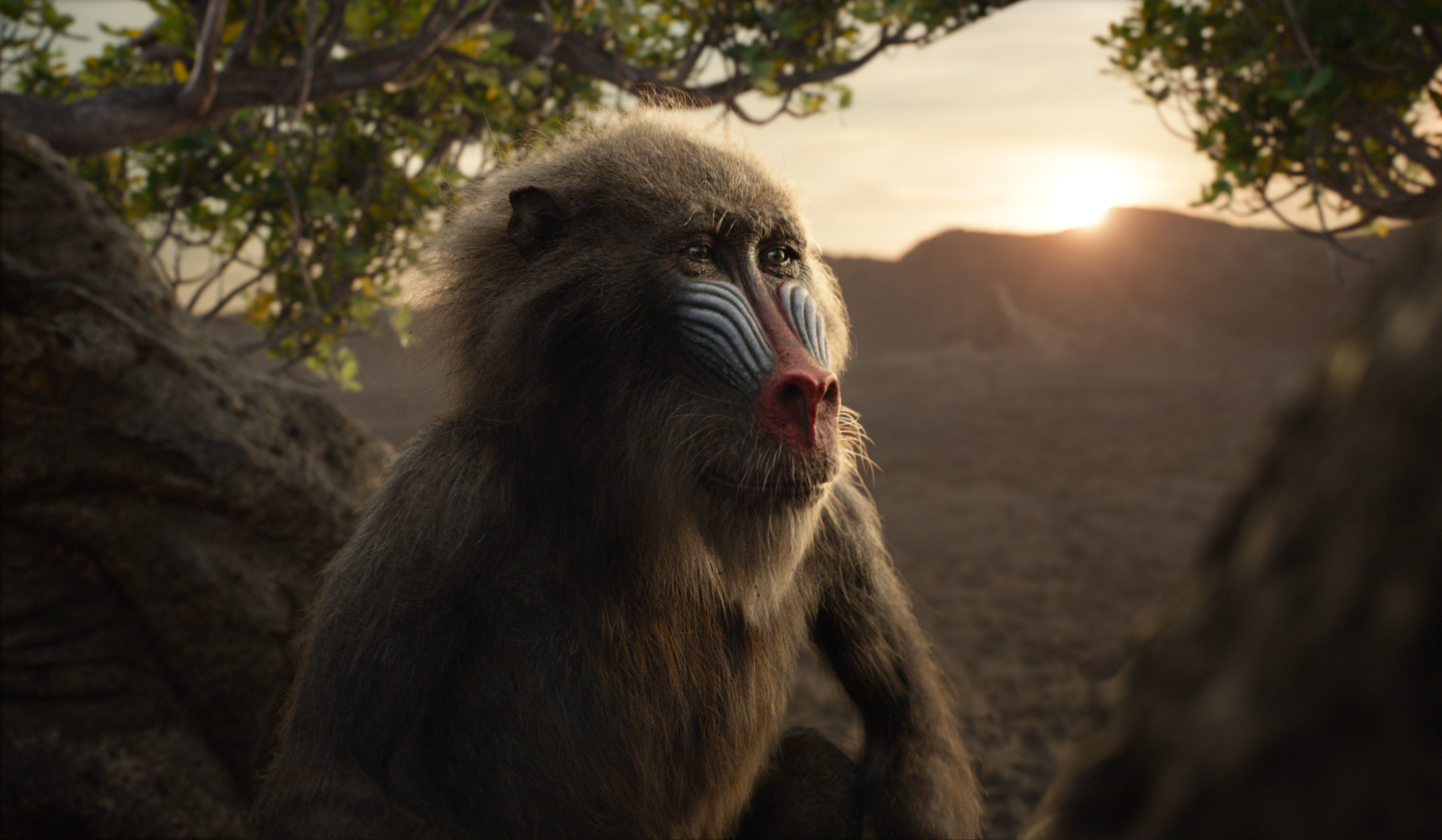 Featuring the voice of John Kani as Rafiki, Disney’s “The Lion King” is directed by Jon Favreau. (null—©2019 Disney Enterprises, Inc. All Rights Reserved.)