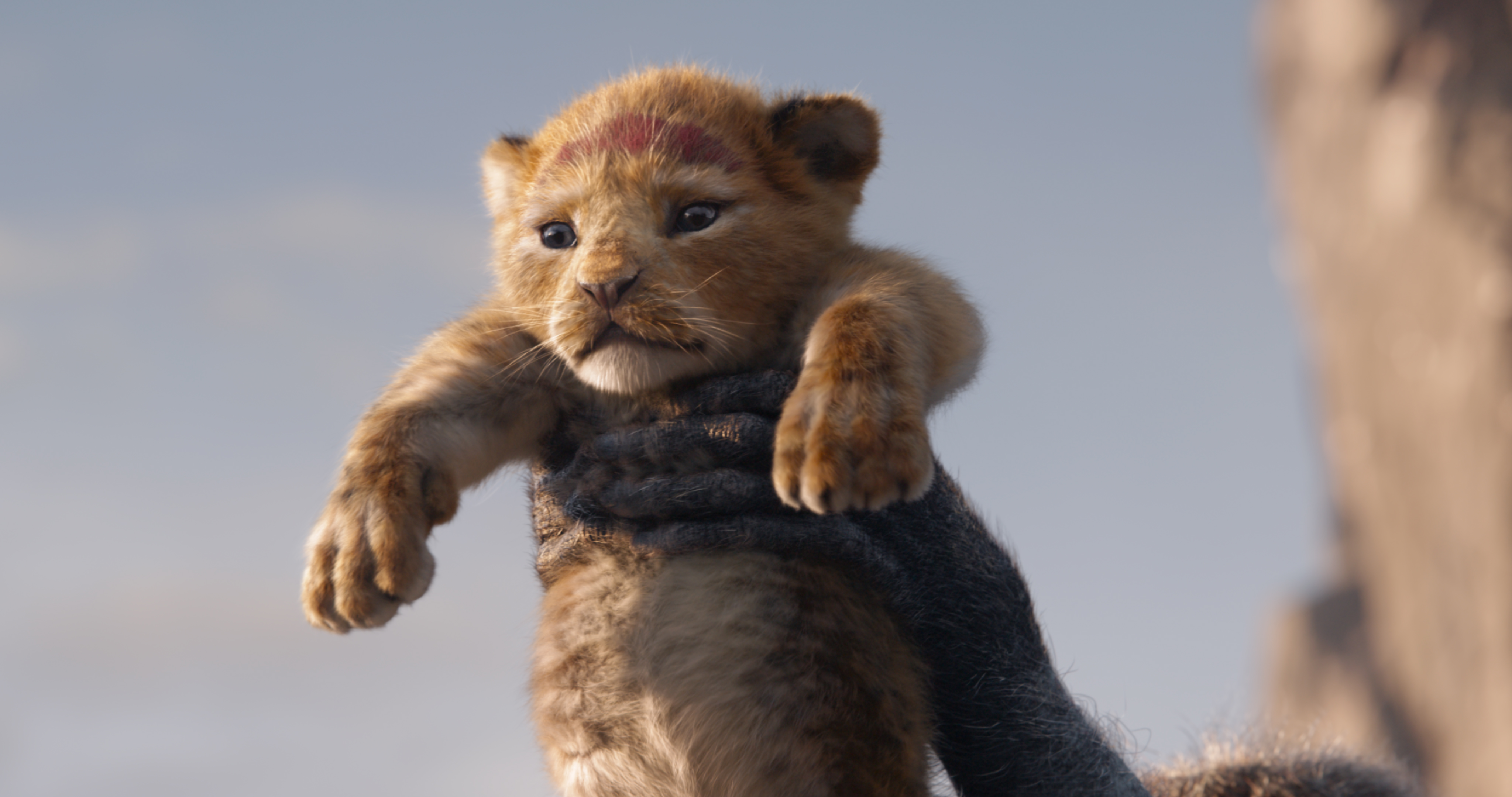 In Disney’s all-new “The Lion King,” Simba idolizes his father, King Mufasa, and takes to heart his own royal destiny. (null—©2019 Disney Enterprises, Inc. All Rights Reserved.)