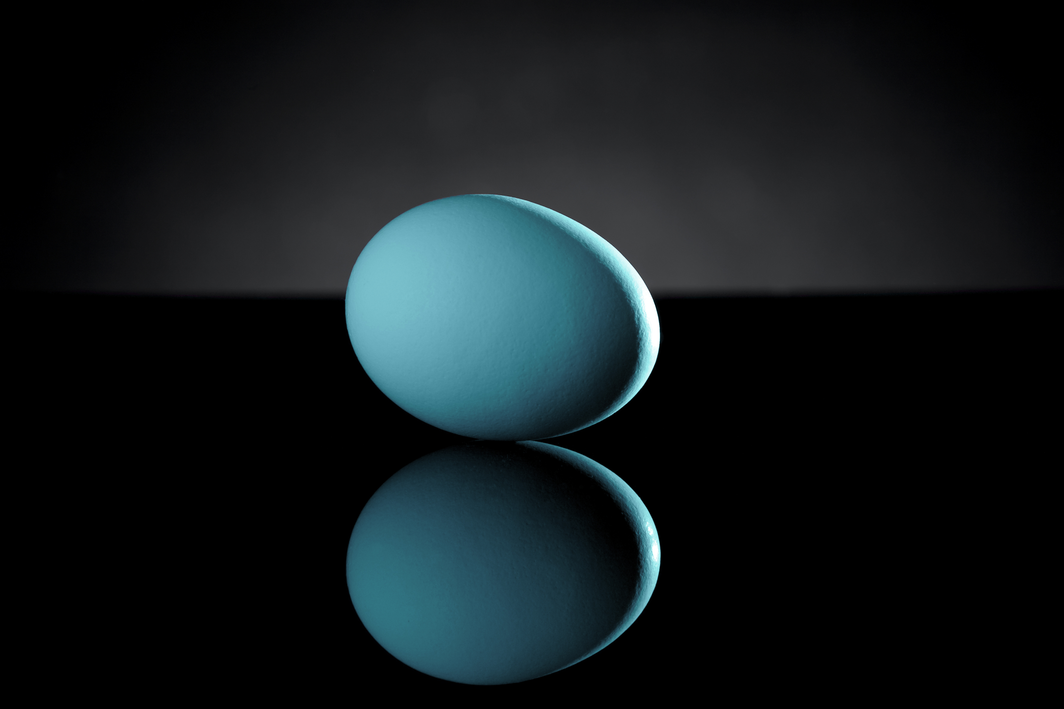 Egg on Black Acrylic with Reflection