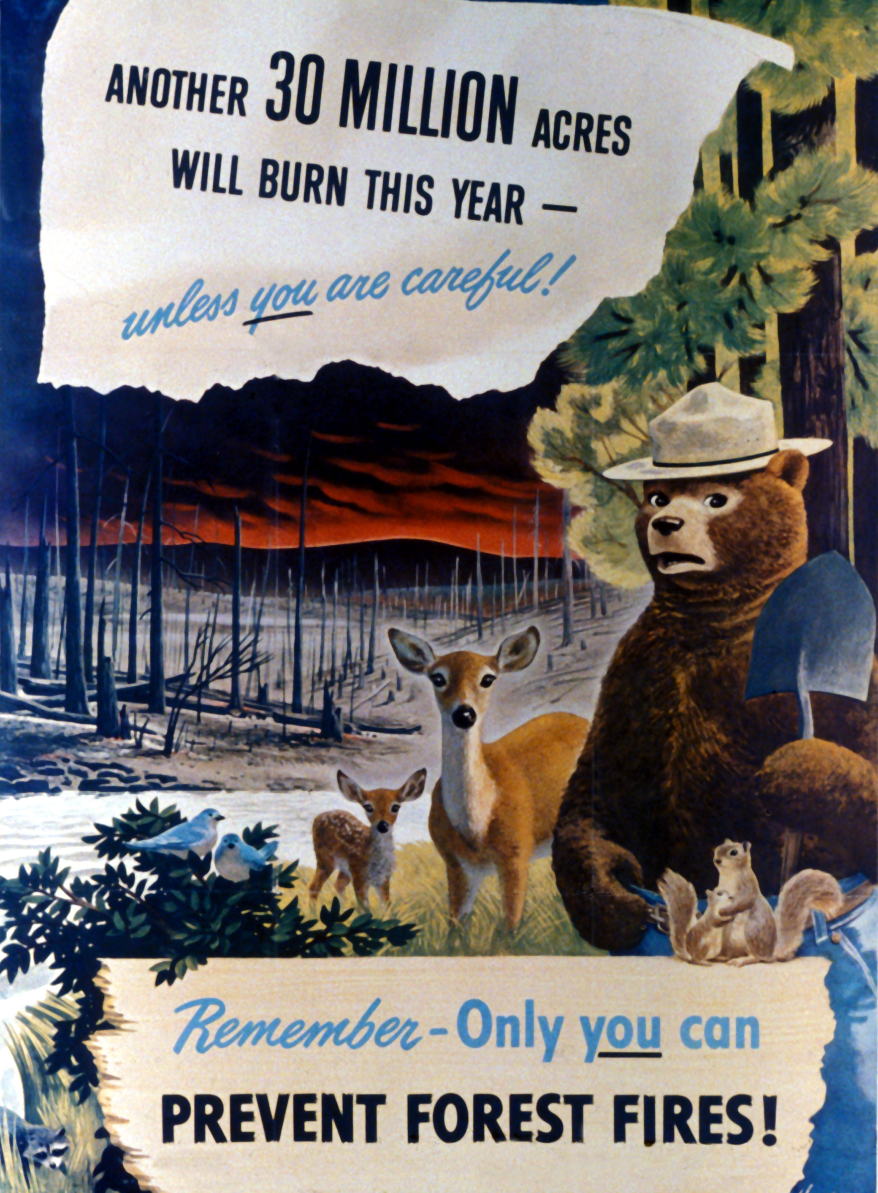 Smokey The Bear Paper Poster A Match Can Be A Deadly Missile NH Forestry 1958 
