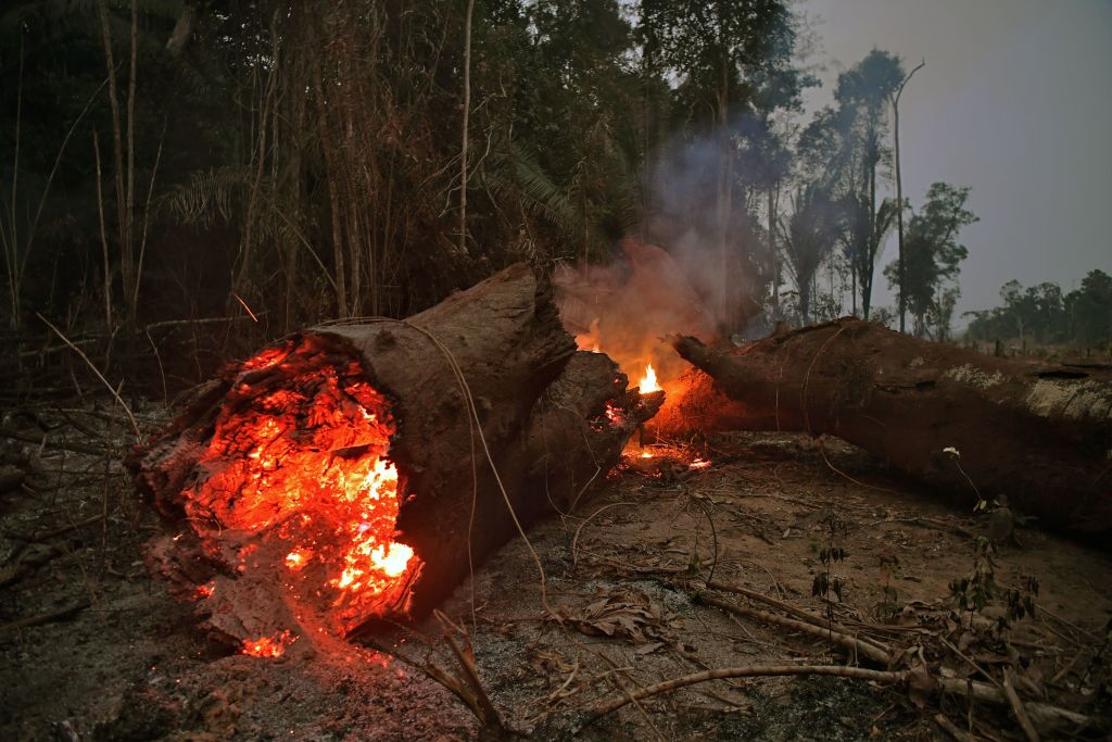 Wildfire in the Amazon rainforest, near Abuna, in the Brazilian state of Rondonia on Aug. 24, 2019. (Carl de Souza—AFP/Getty Images)