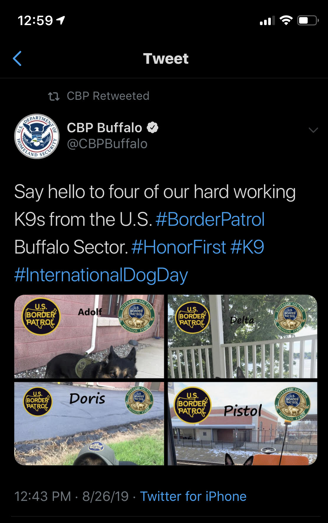 This screenshot taken by Kayla Nelson shows a now-deleted tweet by Customs and Border Protection praising Adolf, one of CBP's top drug dogs in the Buffalo region. (Courtesy Kayla Nelson)