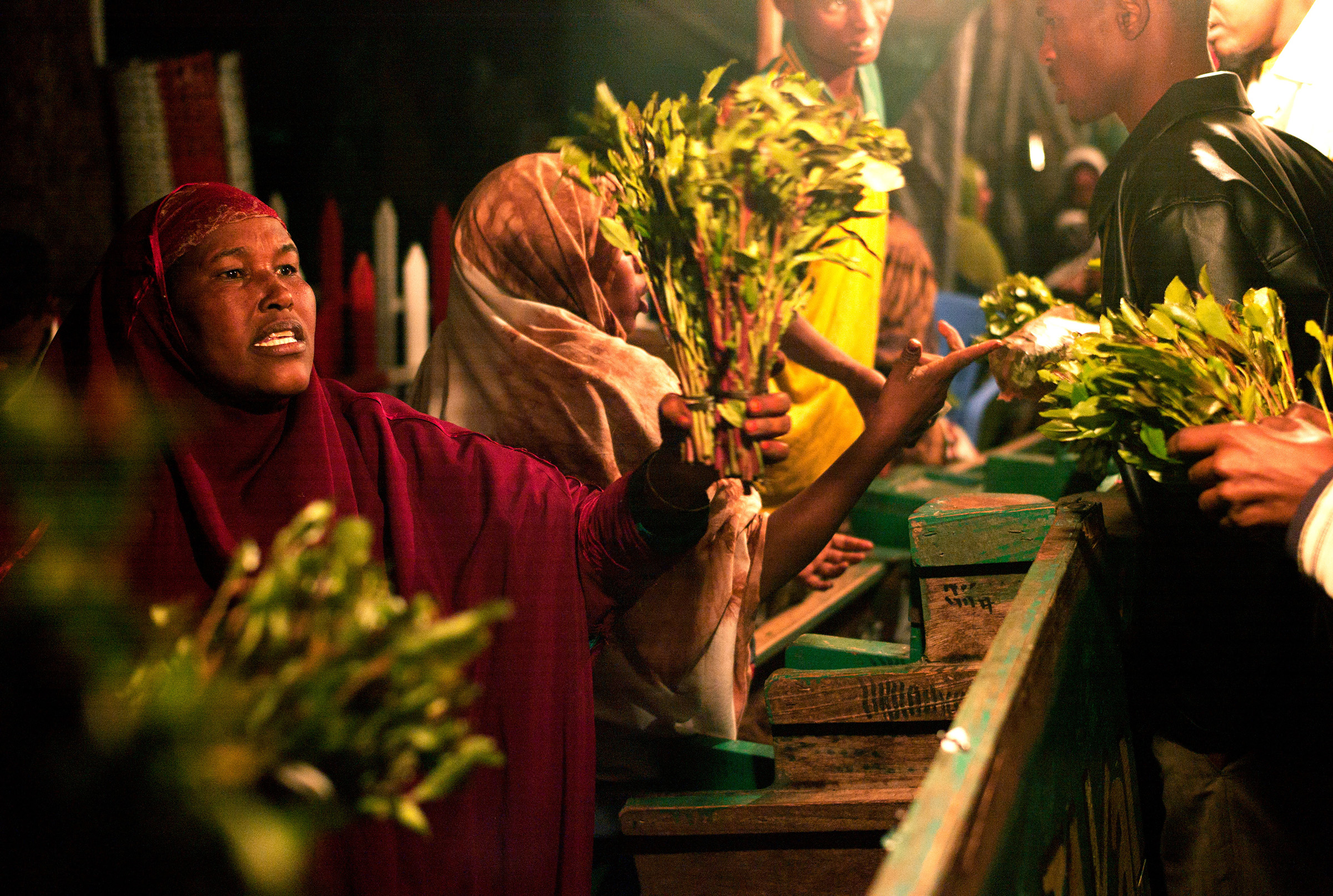 A woman holds a bunch of khat out for sale on her stall in a khat nightmarket in Hargeisa, Somaliland in 2008. The khat is imported by truck from Harar in Ethiopia. (Pascal Maitre—Panos Pictures/Redux)
