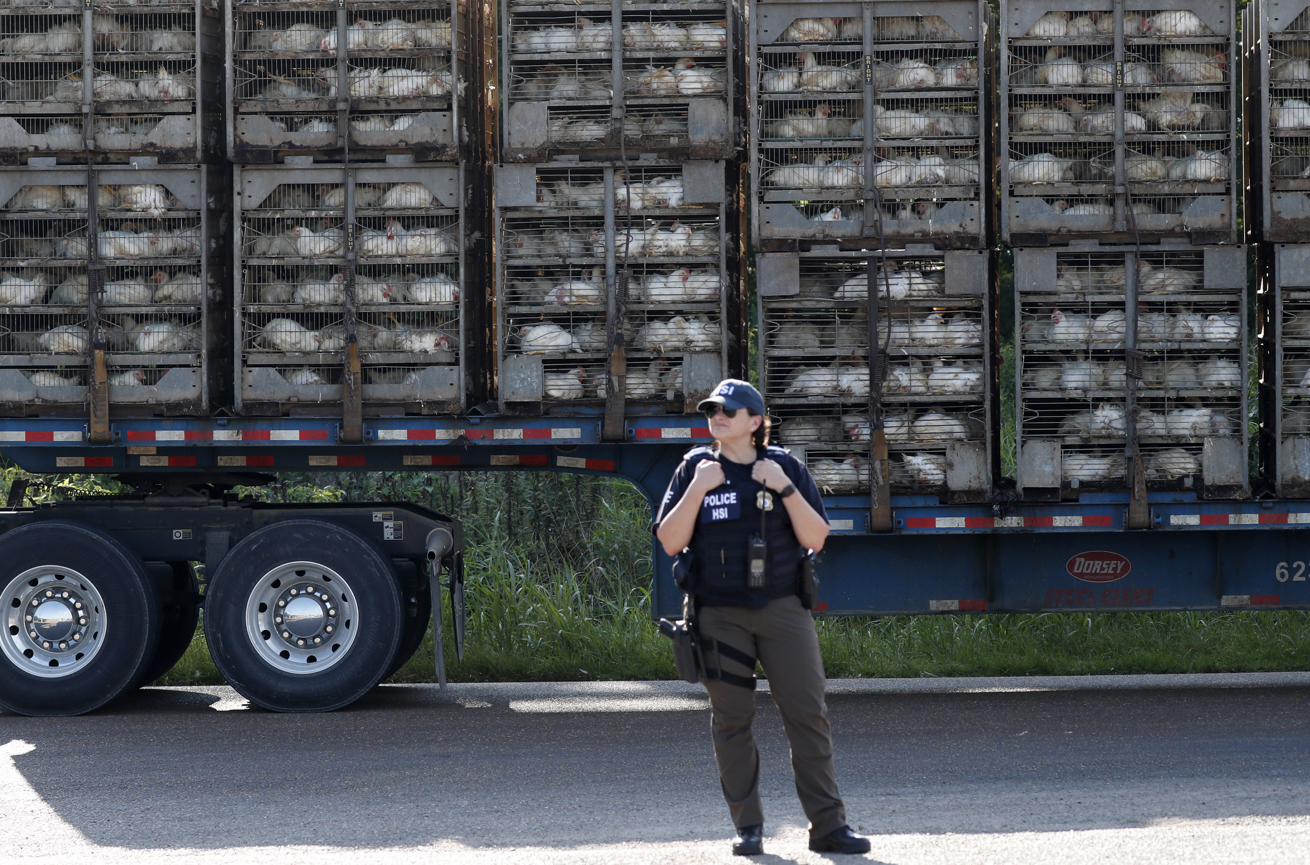 A trailer loaded with chickens passes a federal agent outside a Koch Foods Inc., plant in Morton, Miss. Wednesday, Aug. 7, 2019. U.S. immigration officials raided several Mississippi food processing plants on Wednesday and signaled that the early-morning strikes were part of a large-scale operation targeting owners as well as employees. (Rogelio V. Solis&mdash;AP)