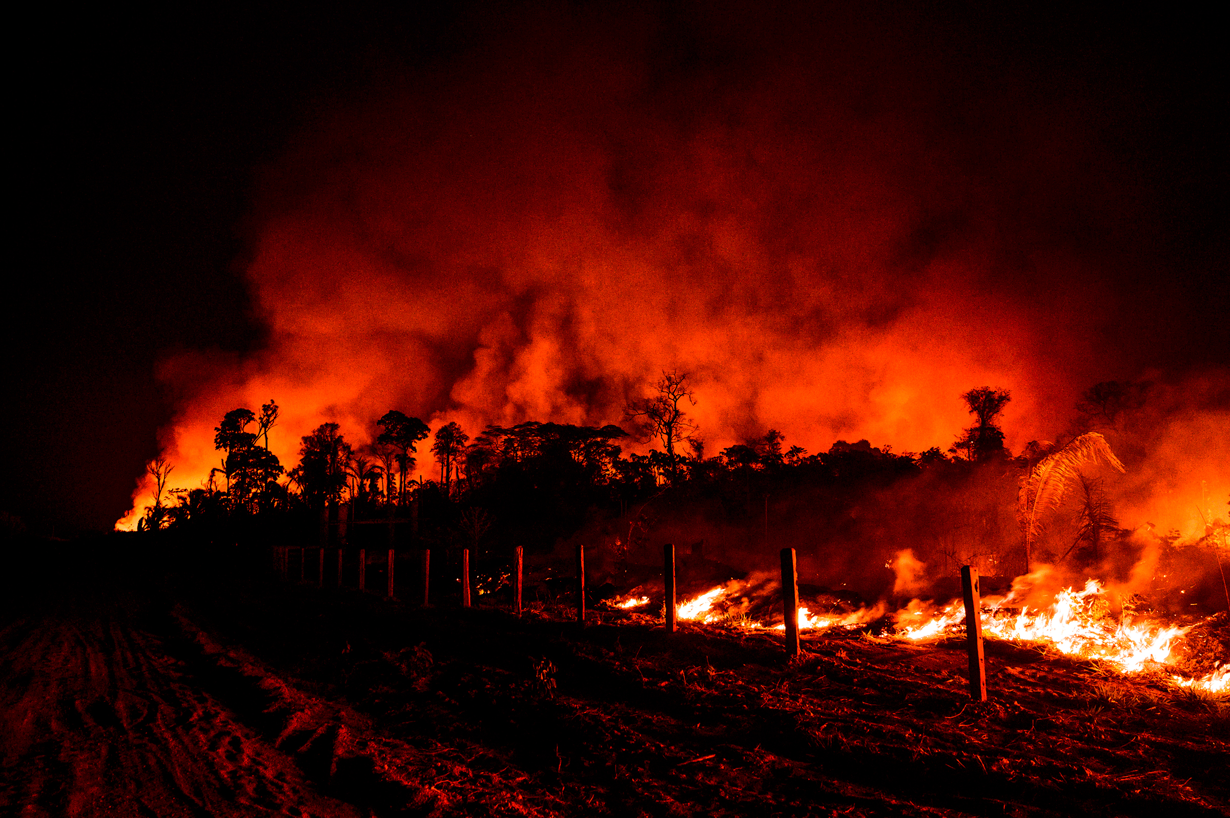 Fence posts are illuminated by nearby flames in the region of Vila Nova Samuel, near Brazil's Jacundá National Forest, on Aug. 27. (Sebastián Liste—NOOR for TIME)