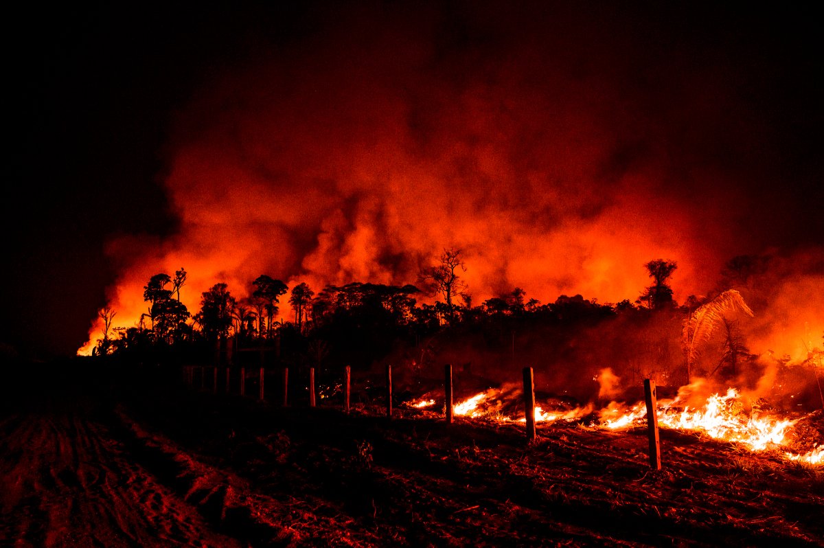 Fence posts are illuminated by nearby flames in the region of Vila Nova Samuel, near Brazil's Jacundá National Forest, on Aug. 27.