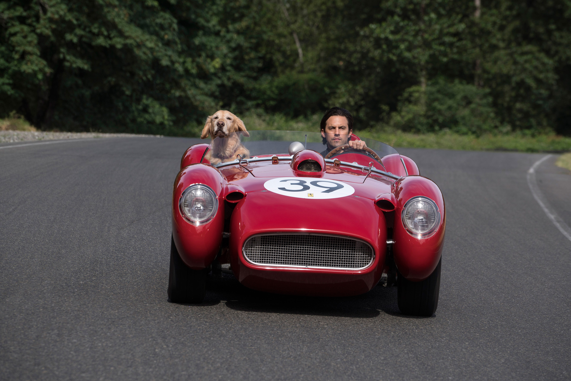 Ventimiglia and friend: If only dogs could drive! And also make movies. (20th Century Fox)