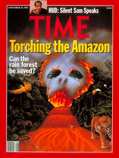 Experts Have Warned About Amazon Rainforest Fires for Years | Time