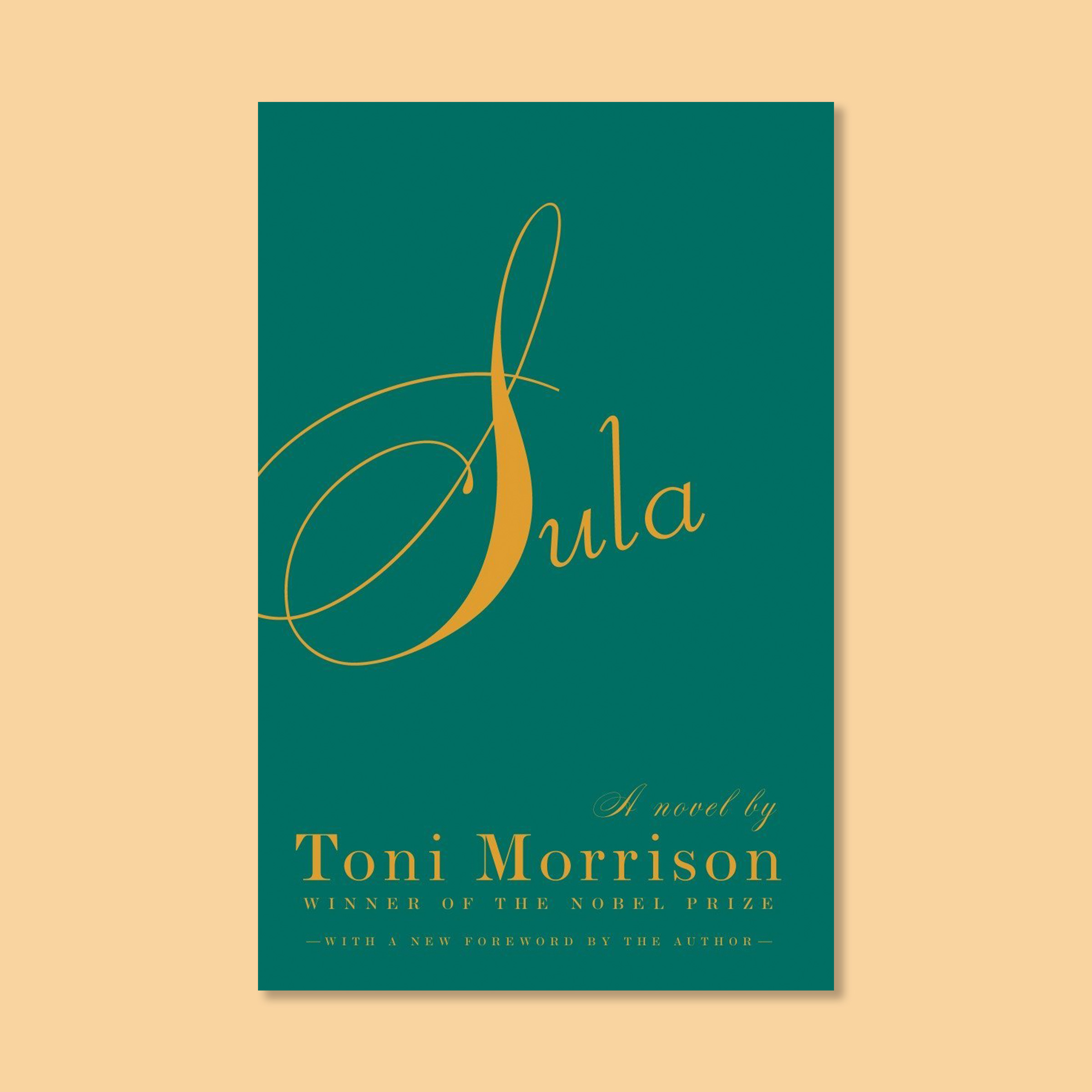 Best Toni Morrison Novels Ranked / Toni Morrison's best novels : Toni ...