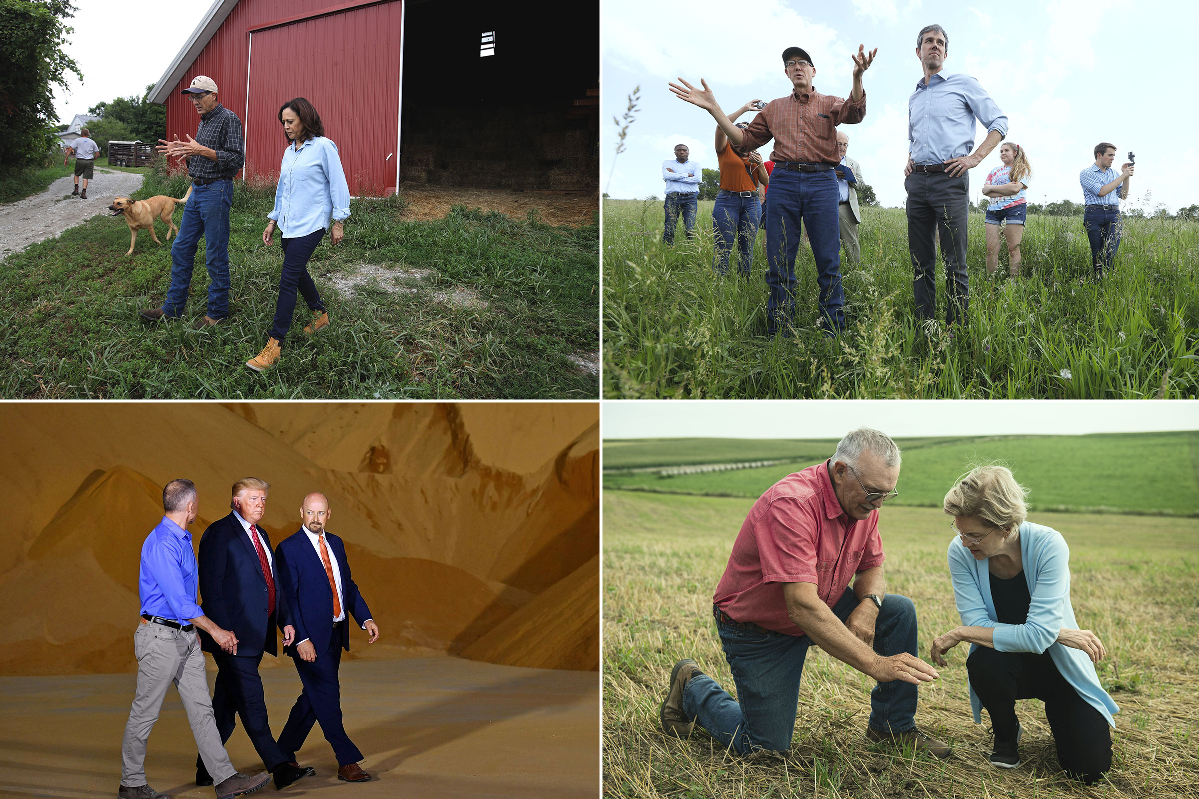 Climate change has become a top issue in the 2020 presidential race. (Clockwise from top left: Justin Sullivan—Getty Images; Charlie Neibergall—AP; Mandel Ngan—AFP/Getty Images; Mark Kauzlarich for TIME)