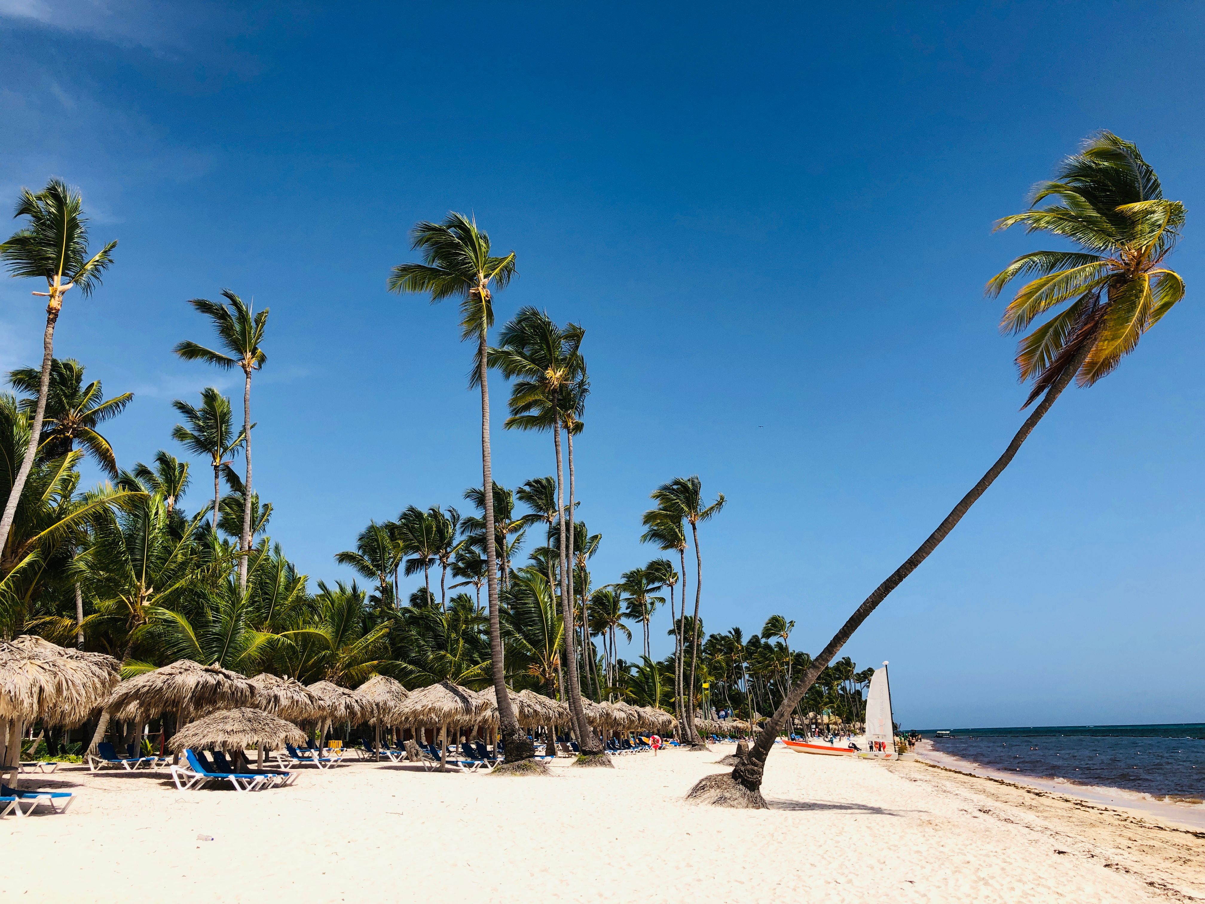 View of the beach of Hotel Barcelo taken in Punta Cana on August 2, 2019. - Punta Cana, the easternmost tip of the Dominican Republic, abuts the Caribbean Sea and the Atlantic Ocean. It's a region known for its 32km stretch of beaches and clear waters. The Bávaro area and Punta Cana combine to form what's known as La Costa del Coco, or the Coconut Coast, an area of all-inclusive tourist resorts. (DANIEL SLIM&mdash;AFP/Getty Images)