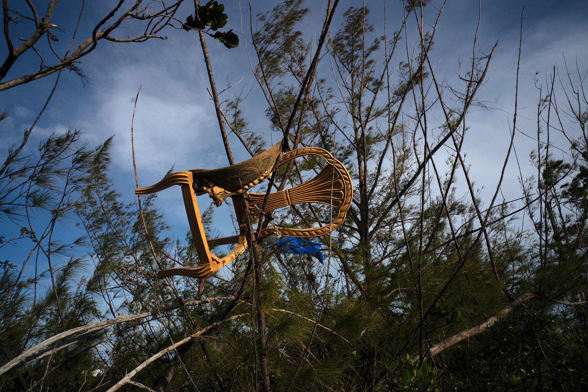 A chair is caught in a grove, blown there by Hurricane Dorian's powerful winds, in Pine Bay, near Freeport, Bahamas, Wednesday, Sept. 4, 2019. (Ramon Espinosa—AP)