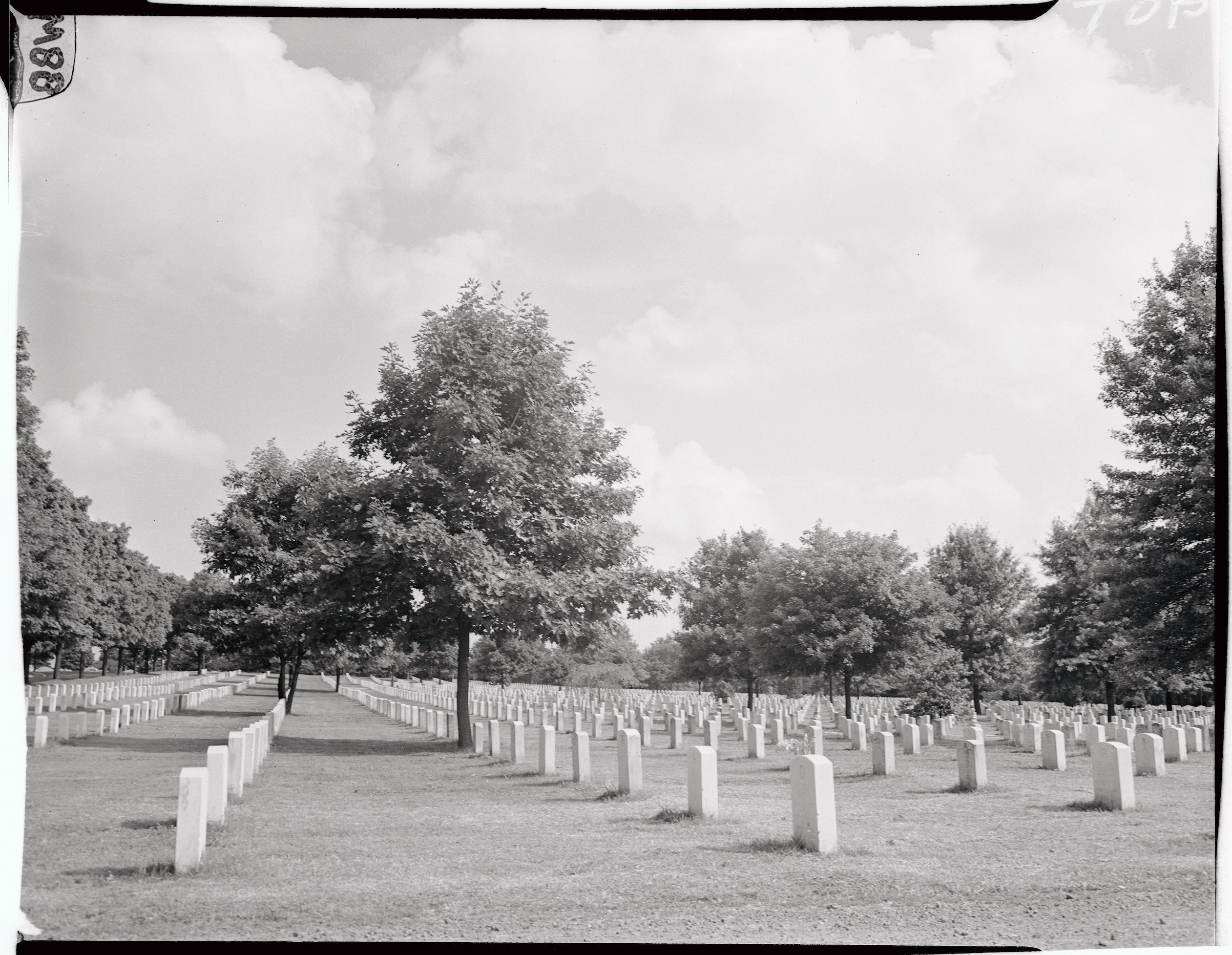 View of Arlington Cemetery in 1946 (Bettmann/Getty Images)