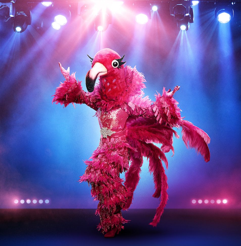 THE MASKED SINGER: The Flamingo. THE MASKED SINGER premieres Wednesday, Sept. 25 (8:00-10:00 PM ET/PT) on FOX. © 2019 FOX MEDIA LLC. CR: Michael Becker/FOX.