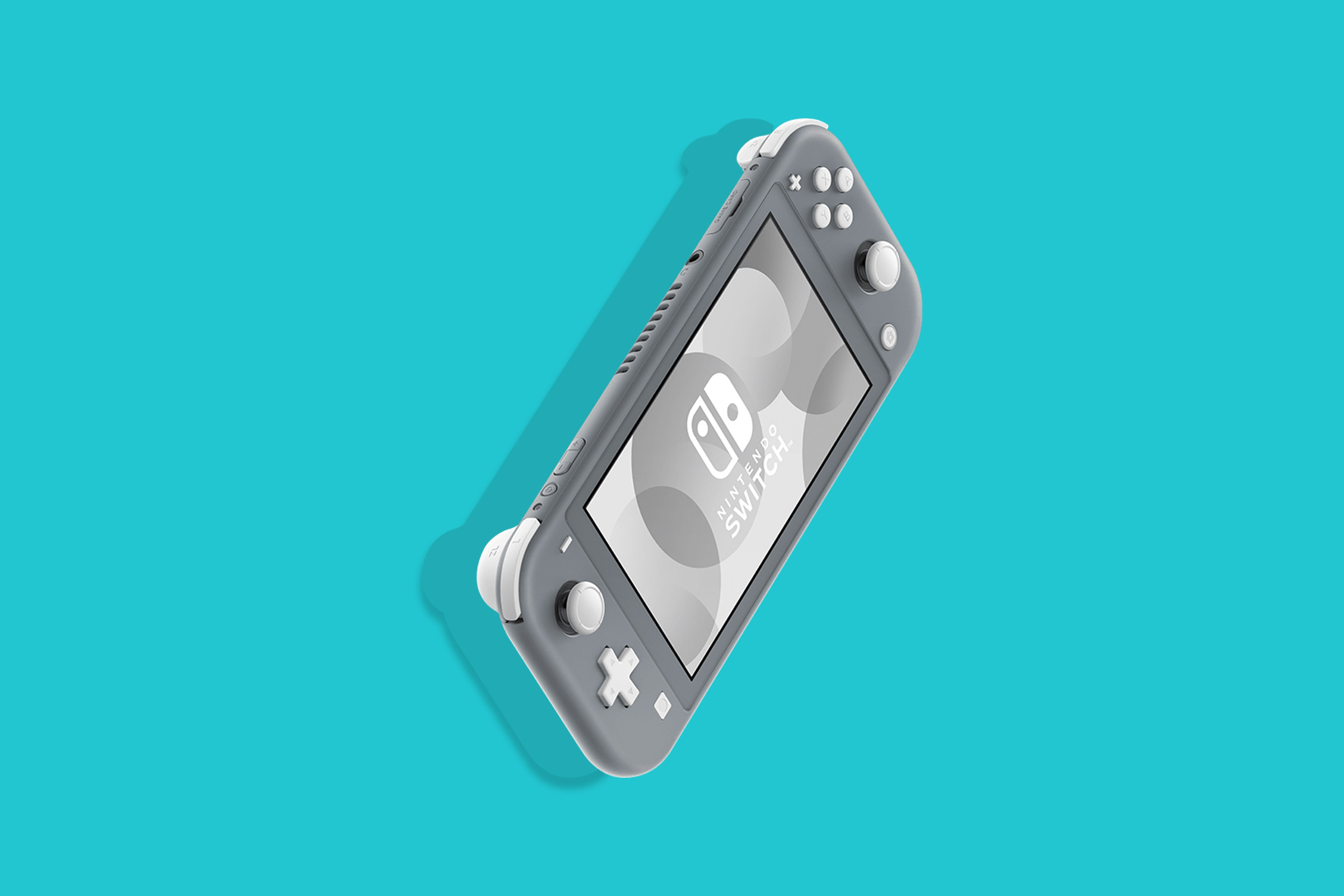 what can you do with nintendo switch lite