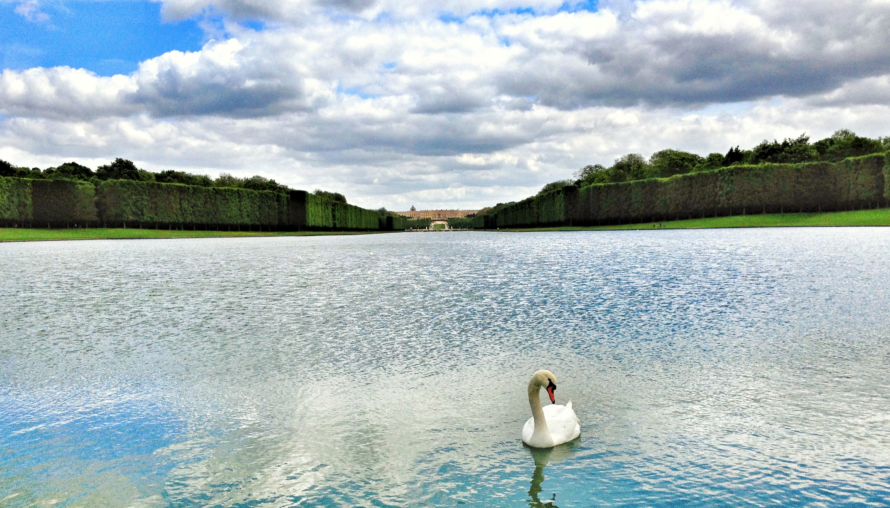 A swan posing in the lake in front of Chateau de Versailles. (Getty Images)