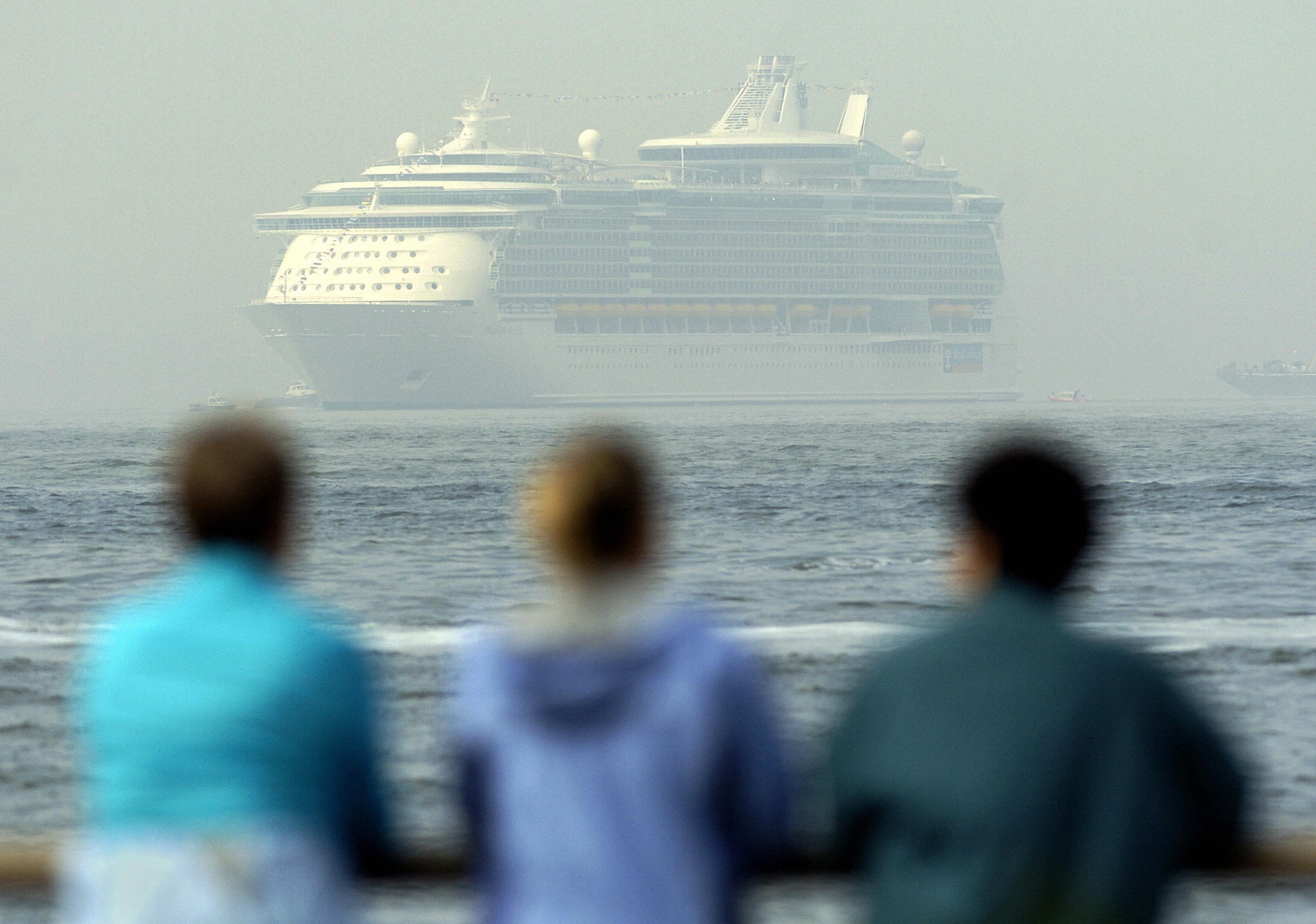 The Freedom of the Seas, owned by Royal Caribbean, sits at anchor May 12, 2006, as it  in New York harbor. (Stan Honda&mdash;AFP/Getty Images)
