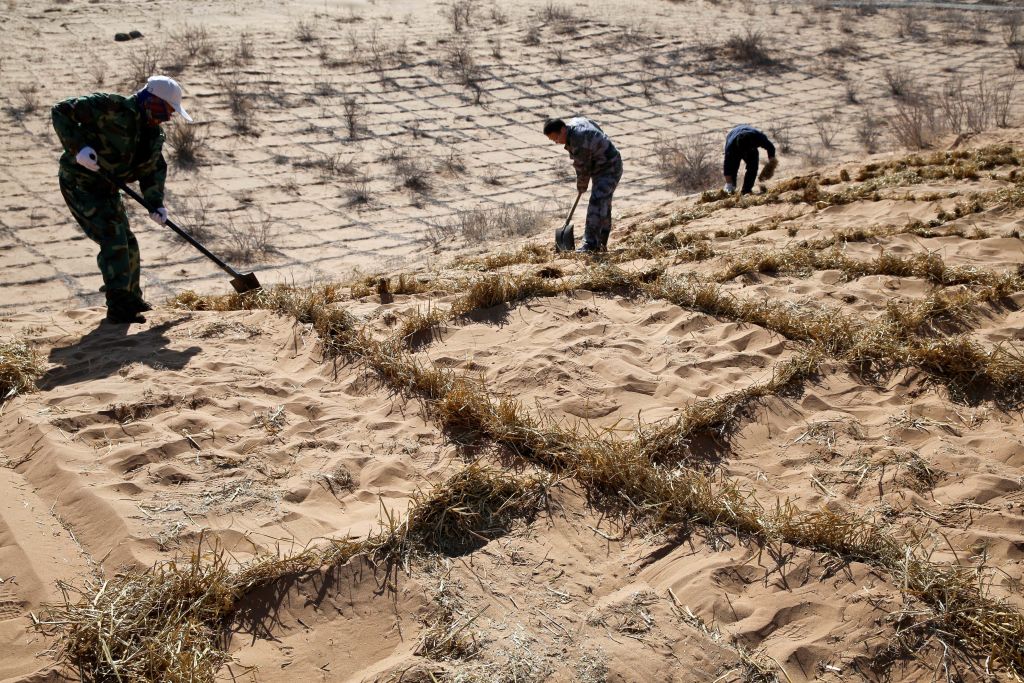 People pave straw checkerboard barriers to prevent and control desertification in Linze County of Zhangye City, northwest China's Gansu Province, on March 12, 2019. Linze County is located on the border of Badain Jaran Desert. In recent years, local authority continues to promote anti-desertification efforts, and a total of about 45,000 acres of trees have been planted. (Wang Jiang–Xinhua News Agency/Getty Images)