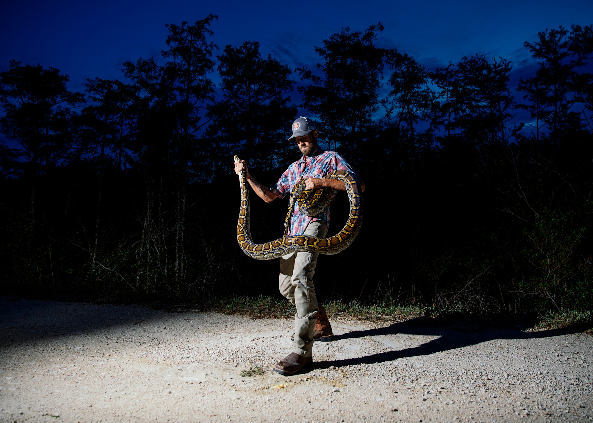 Inside The Effort To Hunt Pythons In The Florida Everglades Time