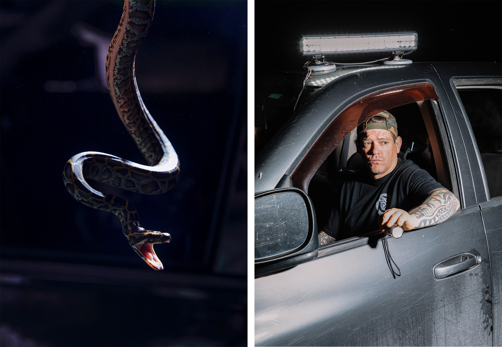 Left: A Burmese python hatchling that was caught by Tom Rahill; Right: Brian Hargrove searches for pythons out his truck window in the Everglades. (Peter Fisher for TIME)