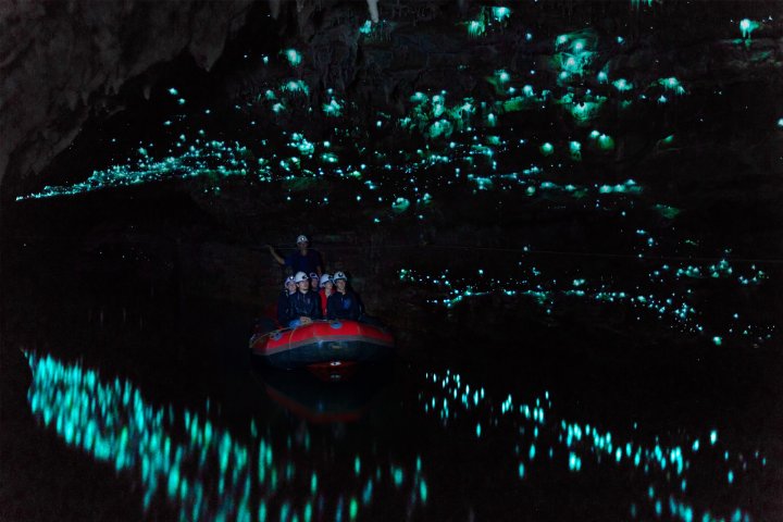 Visitors of the Waitomo Glowworm Caves in Japan