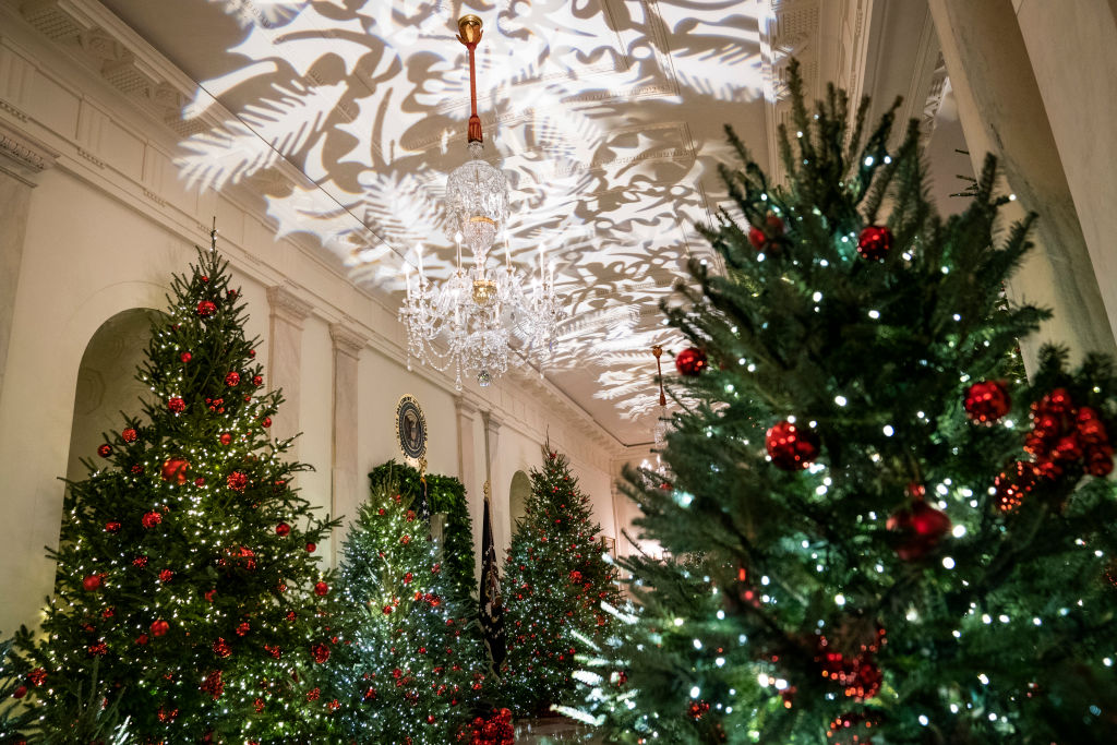 Christmas Trees line the hall during the White House Christmas preview in the Cross Hall of the White House on Monday, Nov. 26, 2018 in Washington, DC. (Photo by Jabin Botsford/The Washington Post via Getty Images) (The Washington Post—The Washington Post/Getty Images)