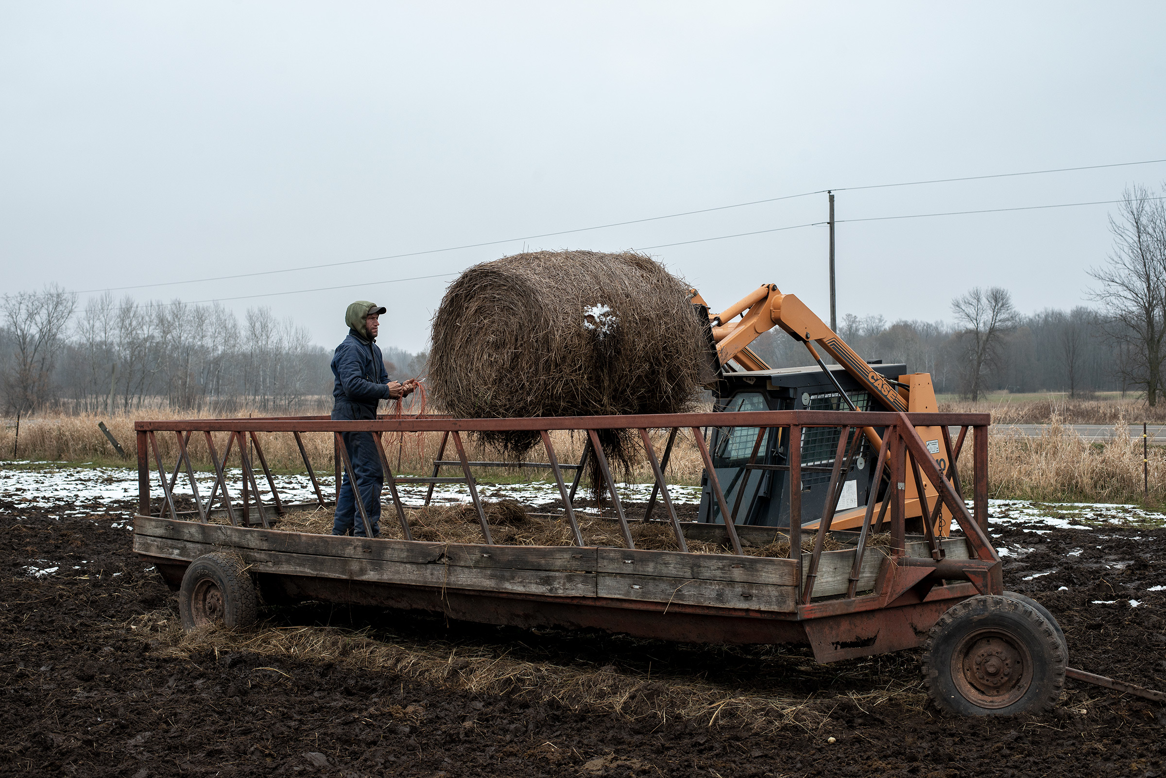 Steven Rieckmann loading a bale of hay on Nov. 20, 2019. (Jason Vaughn for TIME)
